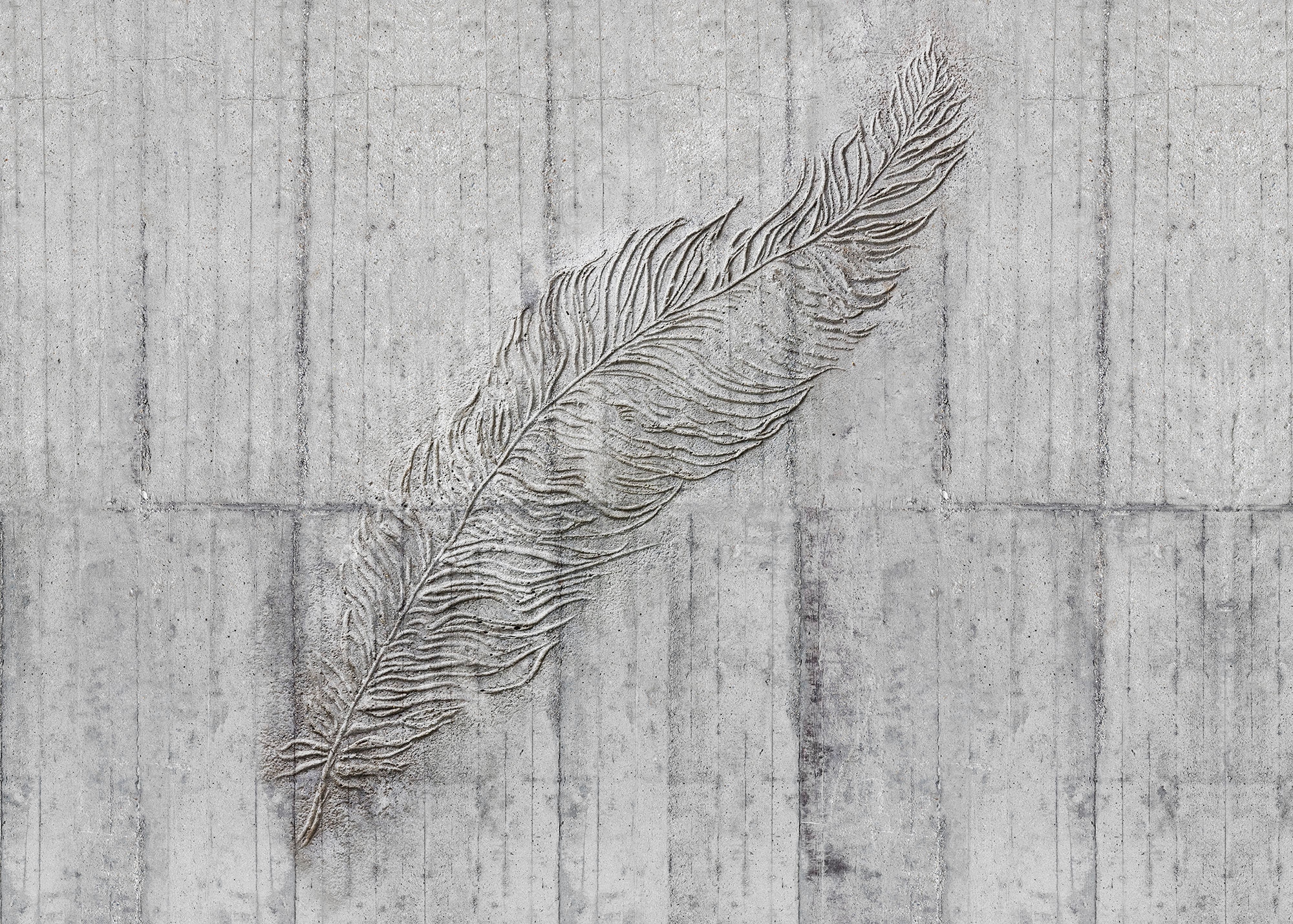 Komar Fototapete Concrete Feather B/L: ca. 350x250 cm günstig online kaufen