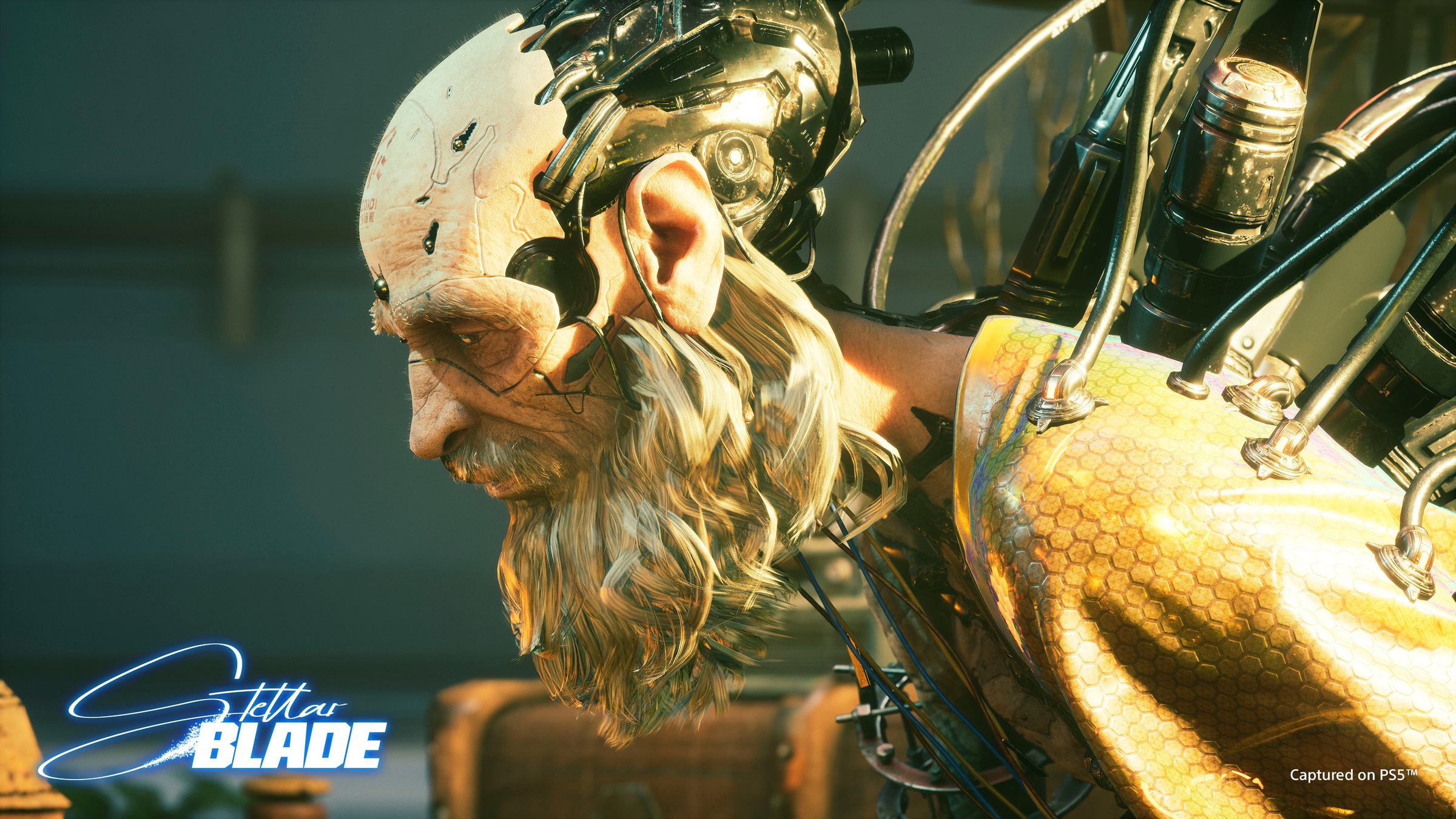 Spielesoftware »Stellar Blade«, PlayStation 5