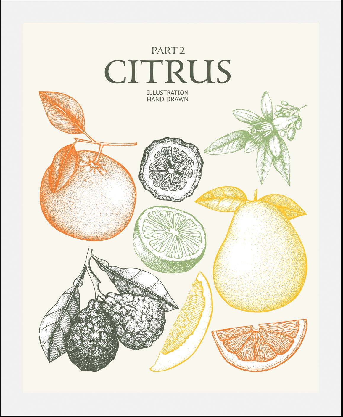 queence Bild »Citrus«, Obst-Obst Bilder-Essen-Lebensmittel-Kunst-Schriftzug günstig online kaufen