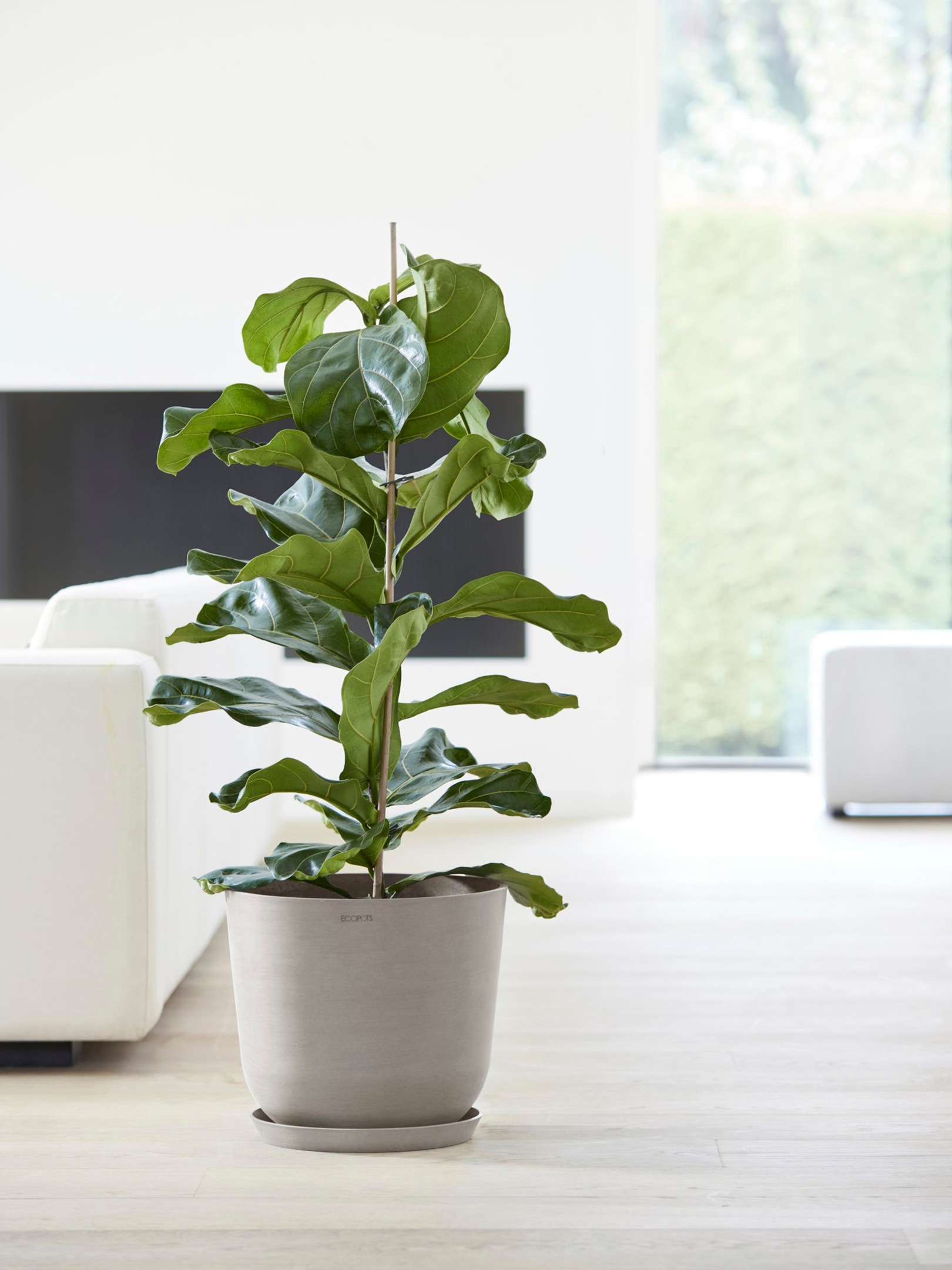 ECOPOTS Blumentopf »Oslo 35 + Wassersystem Taupe«, für innen und außen: frostsicher, bruchsicher und lichtbeständig
