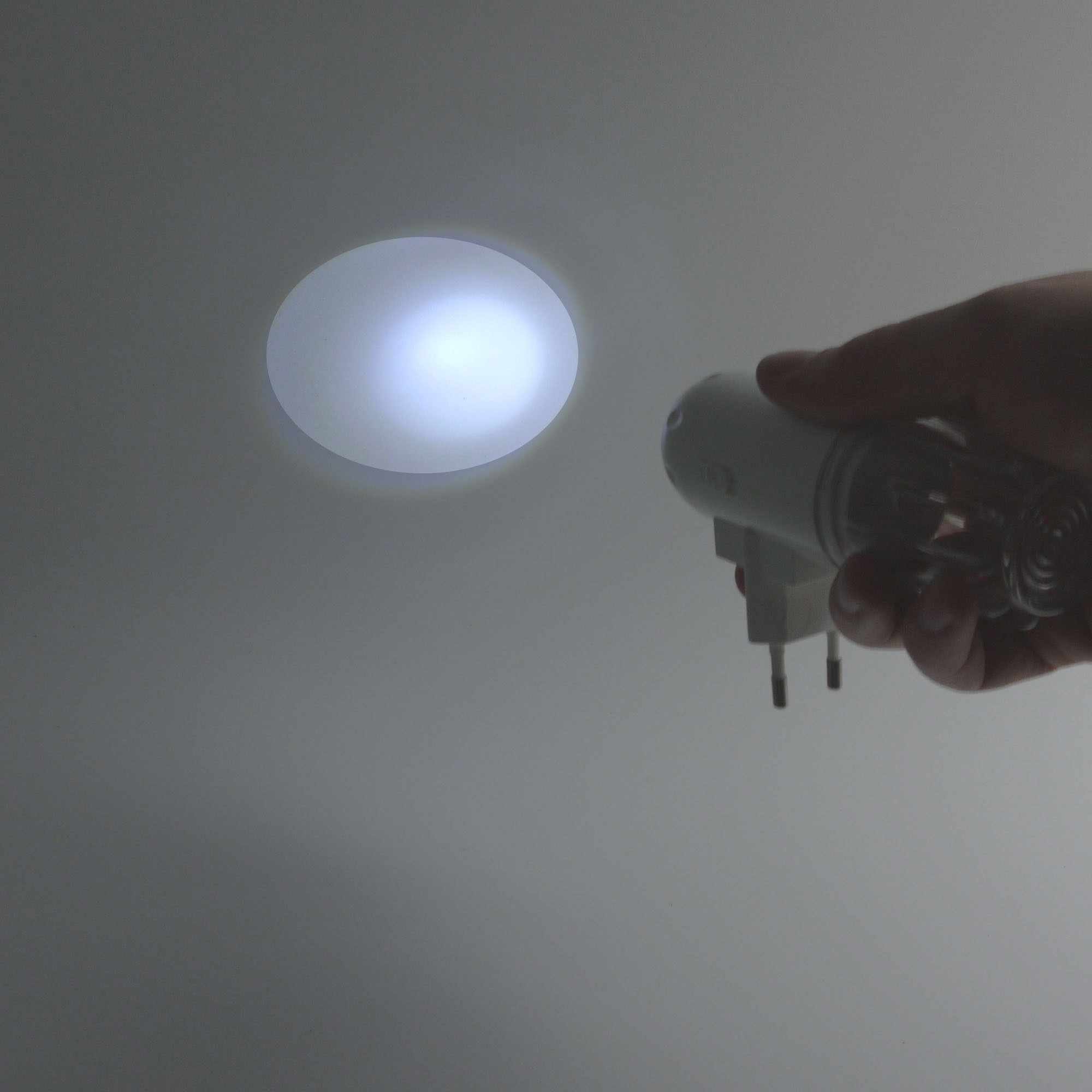niermann LED Nachtlicht »Nachtlichter«, 1 flammig-flammig, Stecker- Nachtlicht  Oval mit Dämmerungssensor Set aus 2 Stück auf Rechnung kaufen