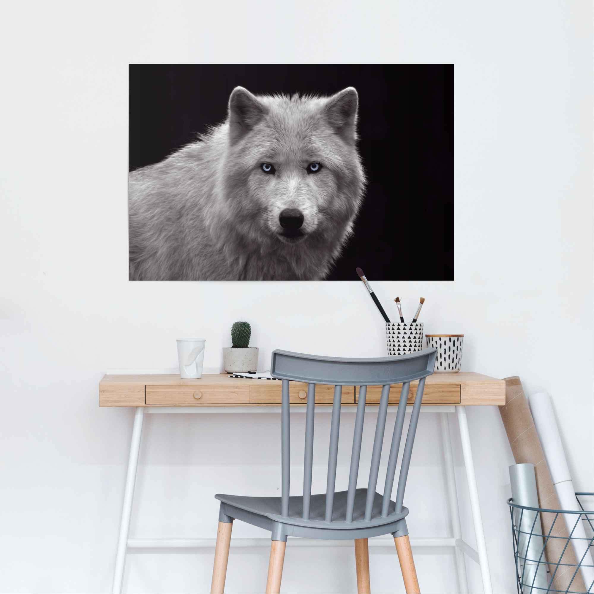 Reinders! Poster »Weißer Wolf«, (1 St.)