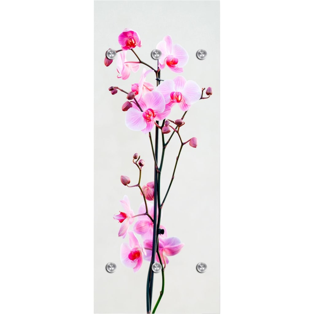 queence Garderobenleiste »Orchidee«