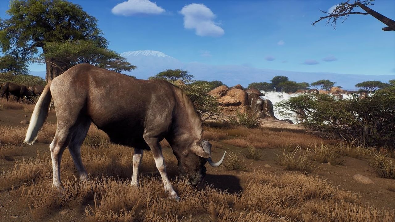 THQ Nordic Spielesoftware »Way of the Hunter - Hunting Season One«, PlayStation 5