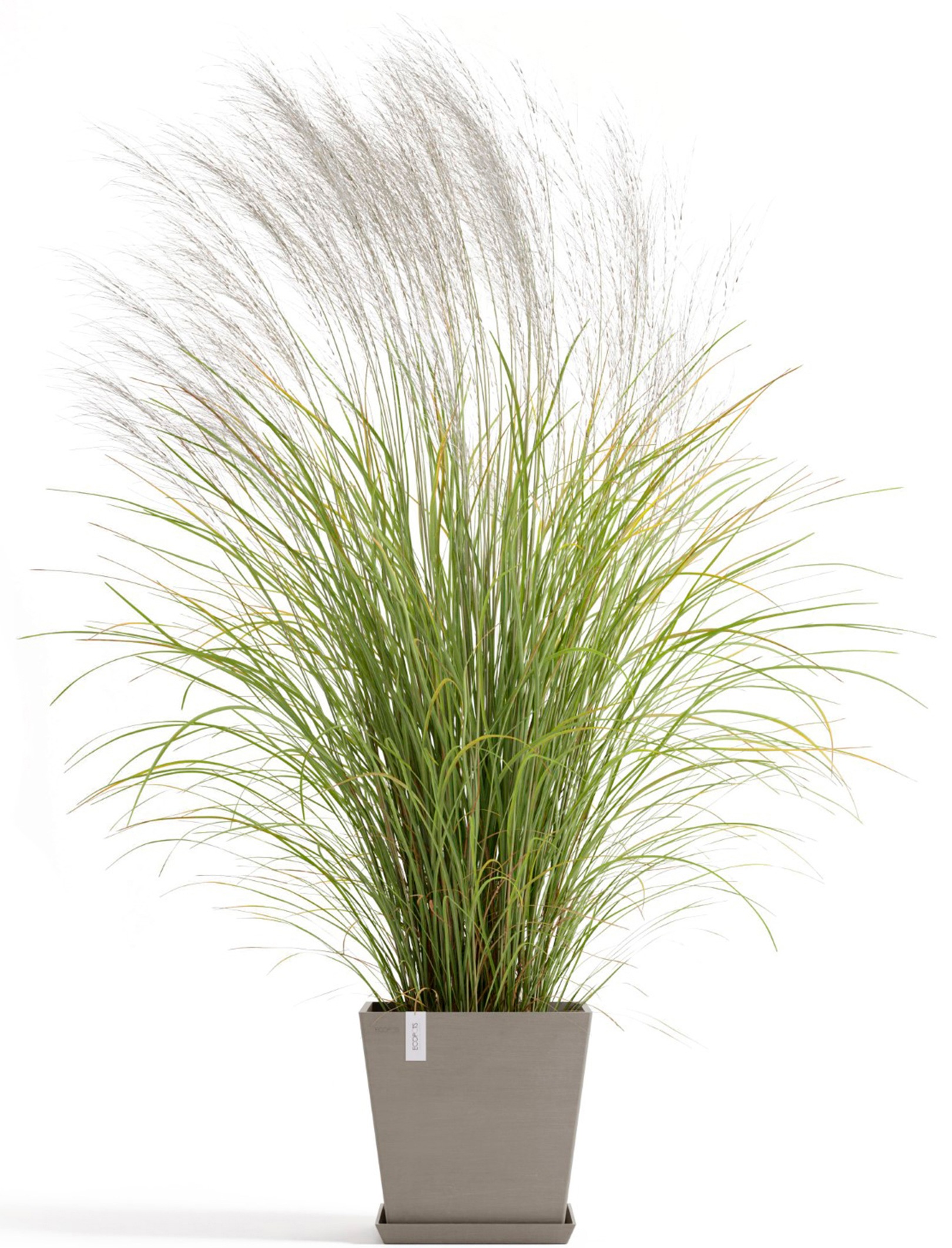 ECOPOTS Blumentopf »Rotterdam 35 + Wassersystem Taupe« für innen und außen: frostsicher, bruchsicher und lichtbeständig