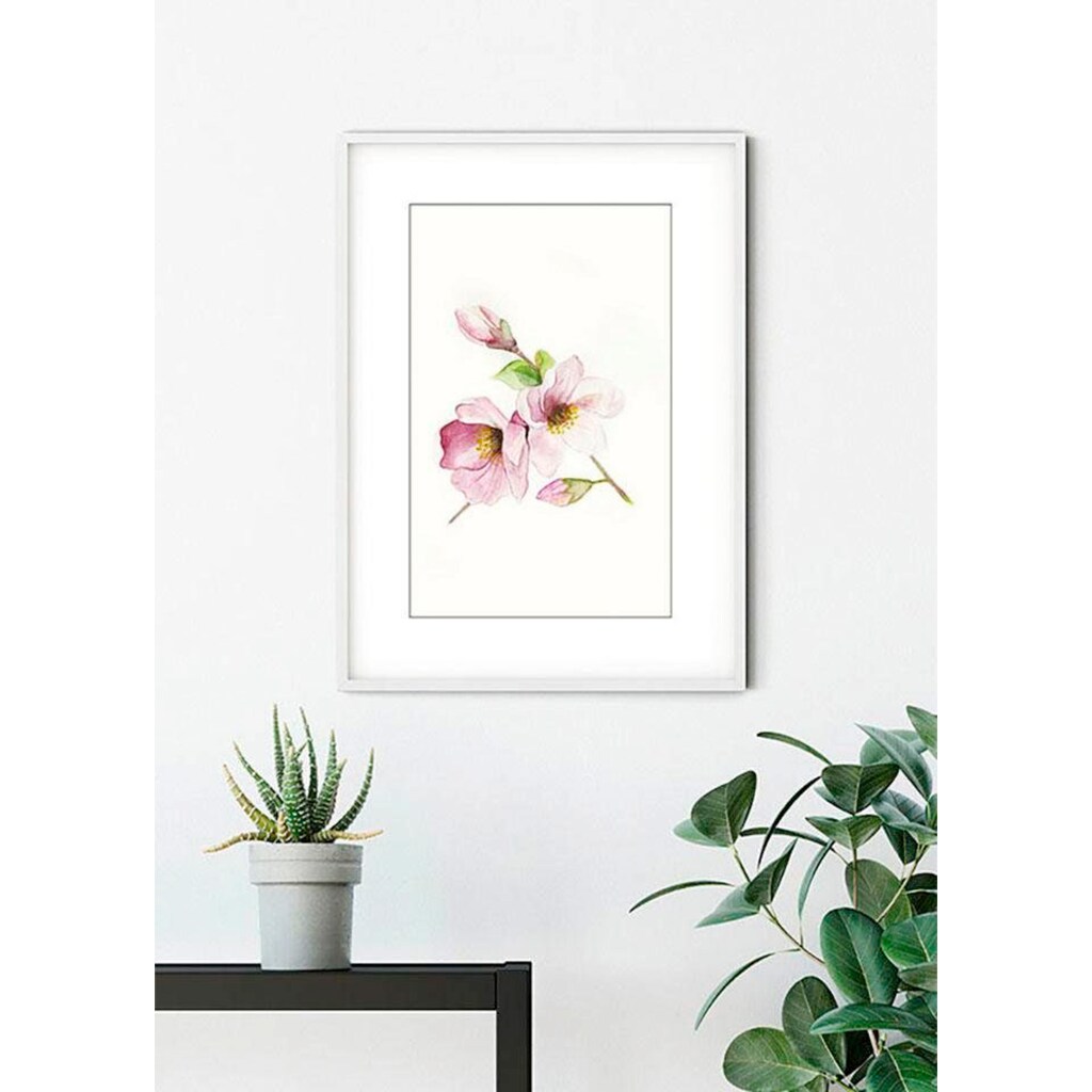 Komar Poster »Magnolia Breathe«, Blumen, (1 St.)