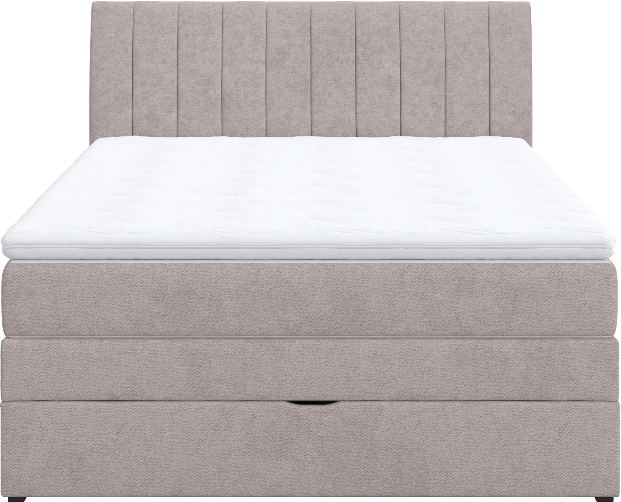 COTTA Boxspringbett »Shark inkl. Bettkasten und Topper«, erhältlich in den Breiten 140x200cm, 160x200cm und 180x200cm
