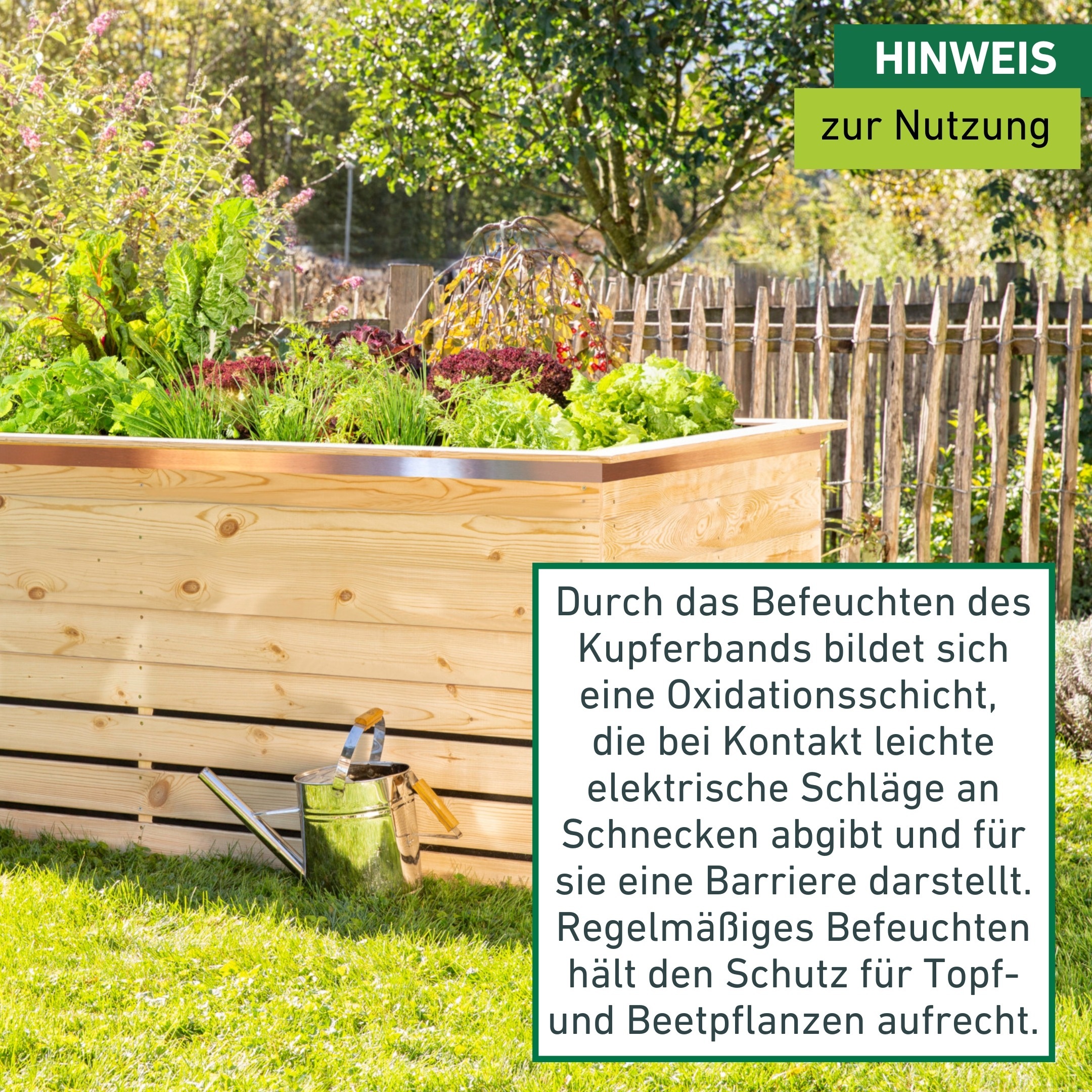 Windhager Schneckenkante »aus Kupfer, Schnecken Abwehrband für Hochbeete und Pflanztöpfe« Schneckenschutz Tape, erhältlich in 5 x 3 cm oder 5 cm x 6 m