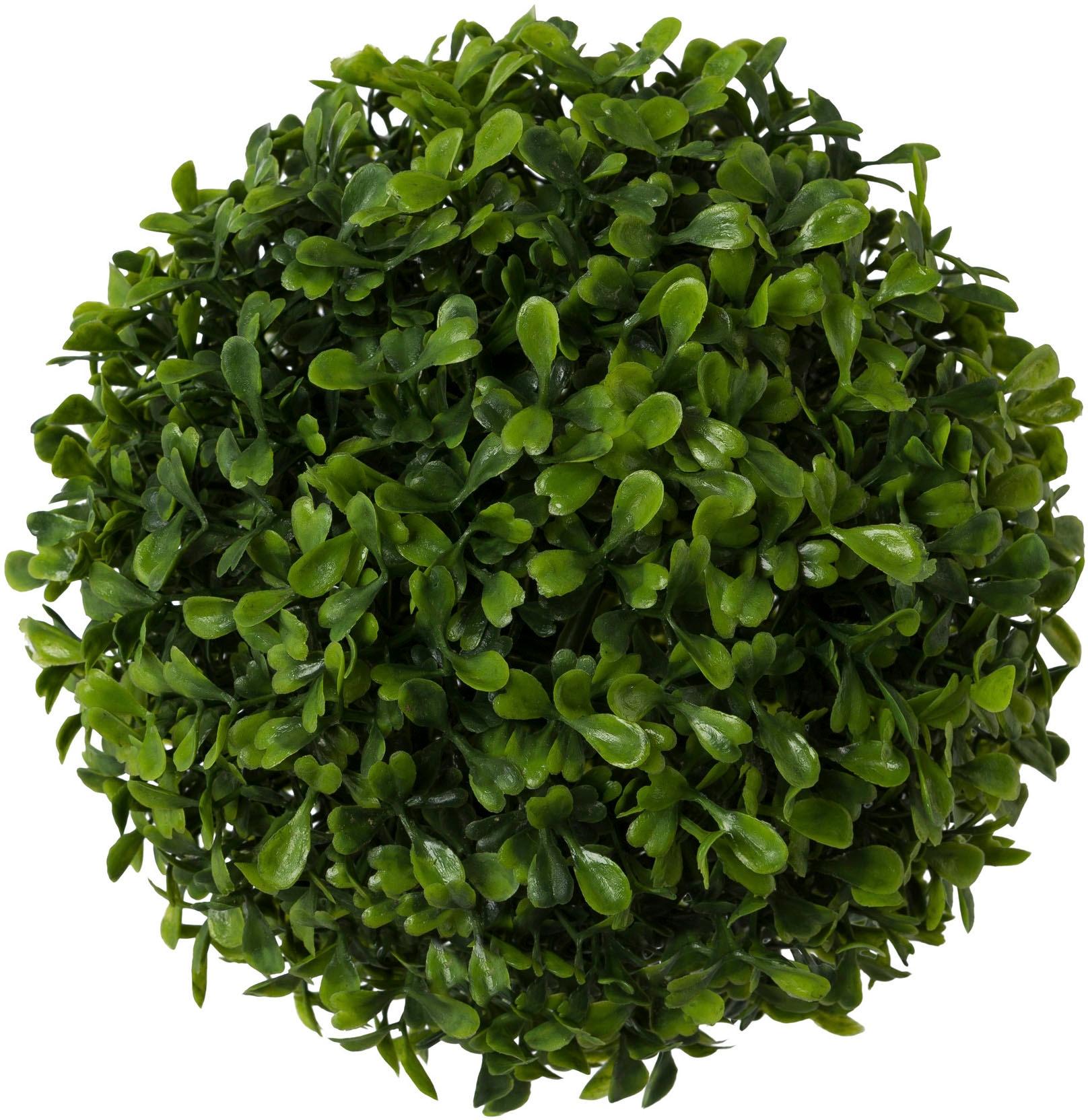 Creativ green Kunstpflanze »Buchsbaumkugel«