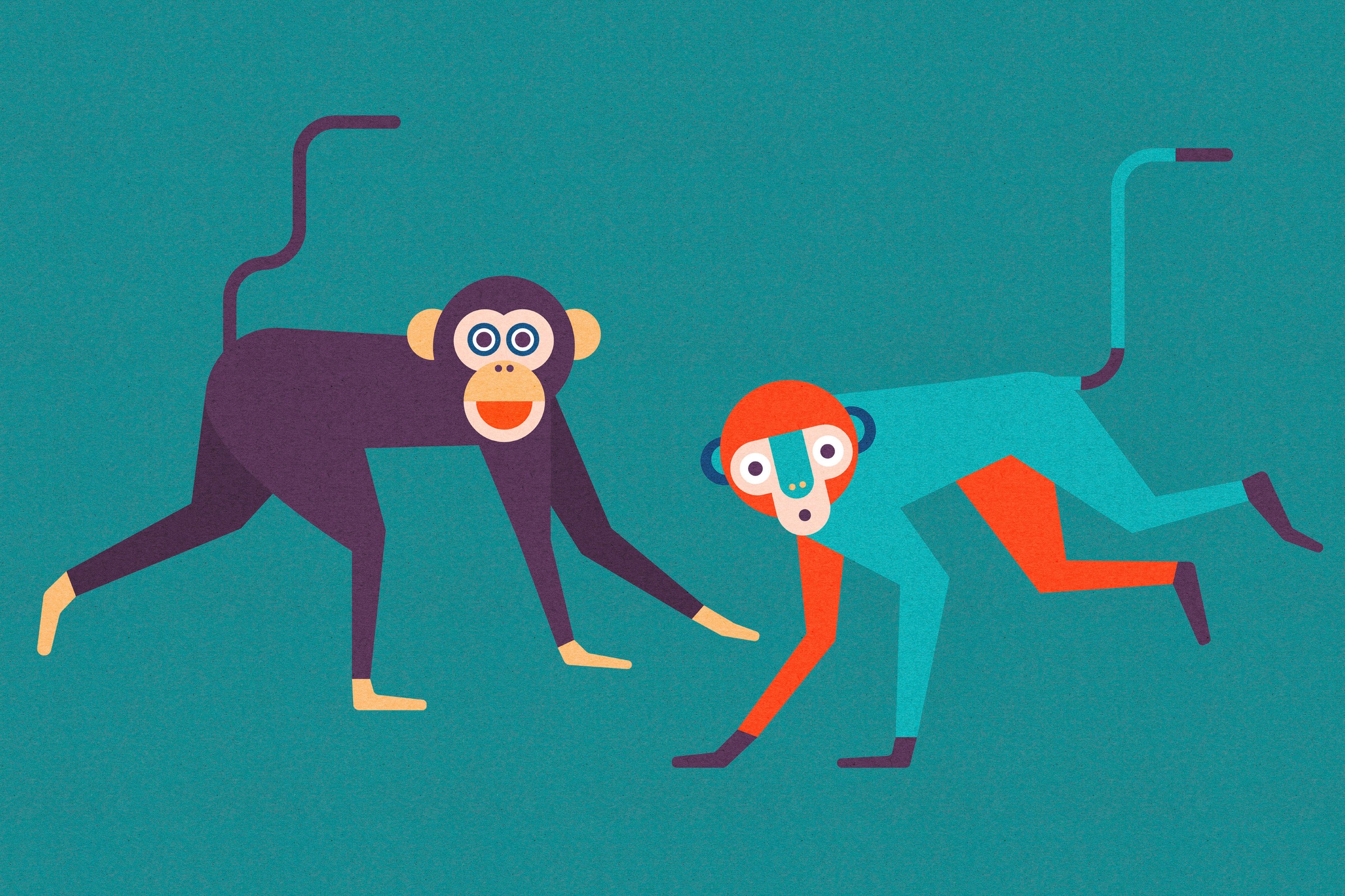 A.S. Création Leinwandbild »monkey business«, Kunst-Tiere-Kinder, (1 St.), Keilrahmen Bild Kunst Affen Bunt Leinwand-Bild Wohnzimmer modern Wand