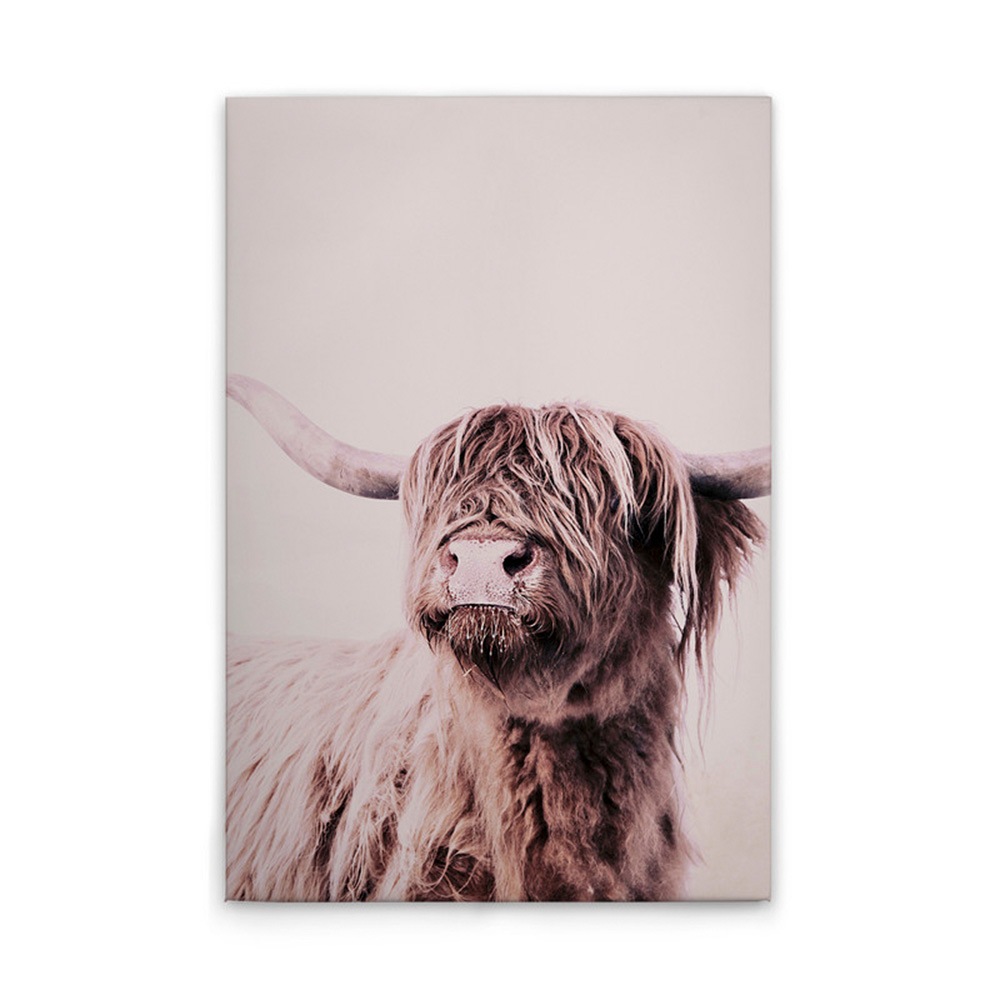 A.S. Création Leinwandbild »Highland Cattle 1 - Wandbild Creme Beige Keilra günstig online kaufen