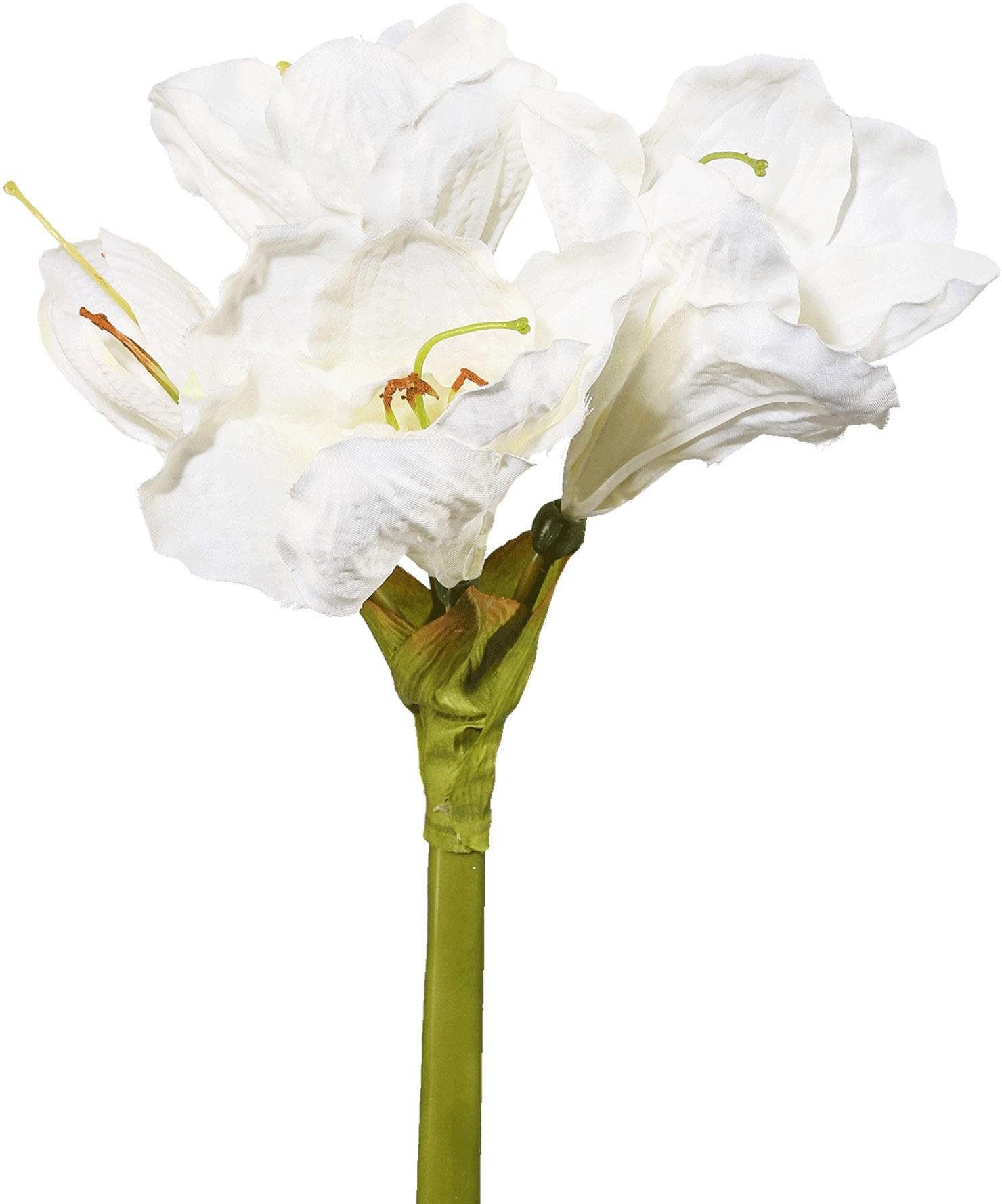 Kunstblume »Amaryllis«, (Set, 4 St.), mit Vase online kaufen