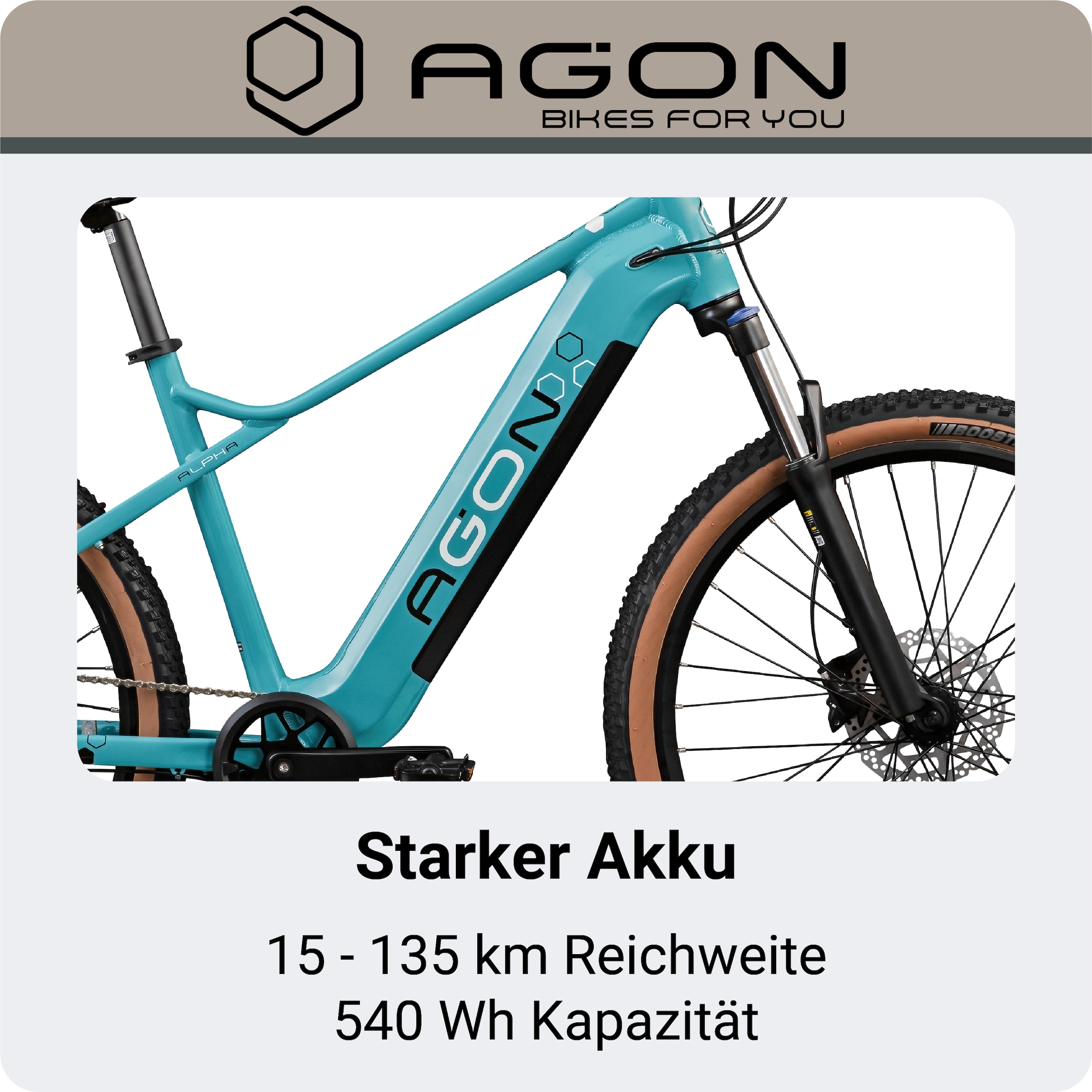 AGON »Alpha« 10 Gang Shimano Deore SGS T6000 Schaltwerk Kettenschaltung Heckmotor 250 W Pedelec, Elektrofahrrad für Damen u. Herren, MTB