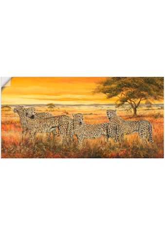 Artland Wandbild »4 Geparden«, Wildtiere, (1 St.), in vielen Größen & Produktarten -... kaufen