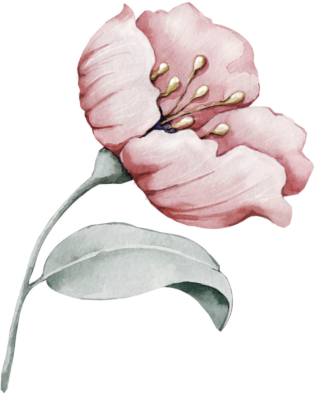 queence Wandtattoo »Annie« Wandbild, Sticker, rosa, Blume, Blüte, selbstkle günstig online kaufen
