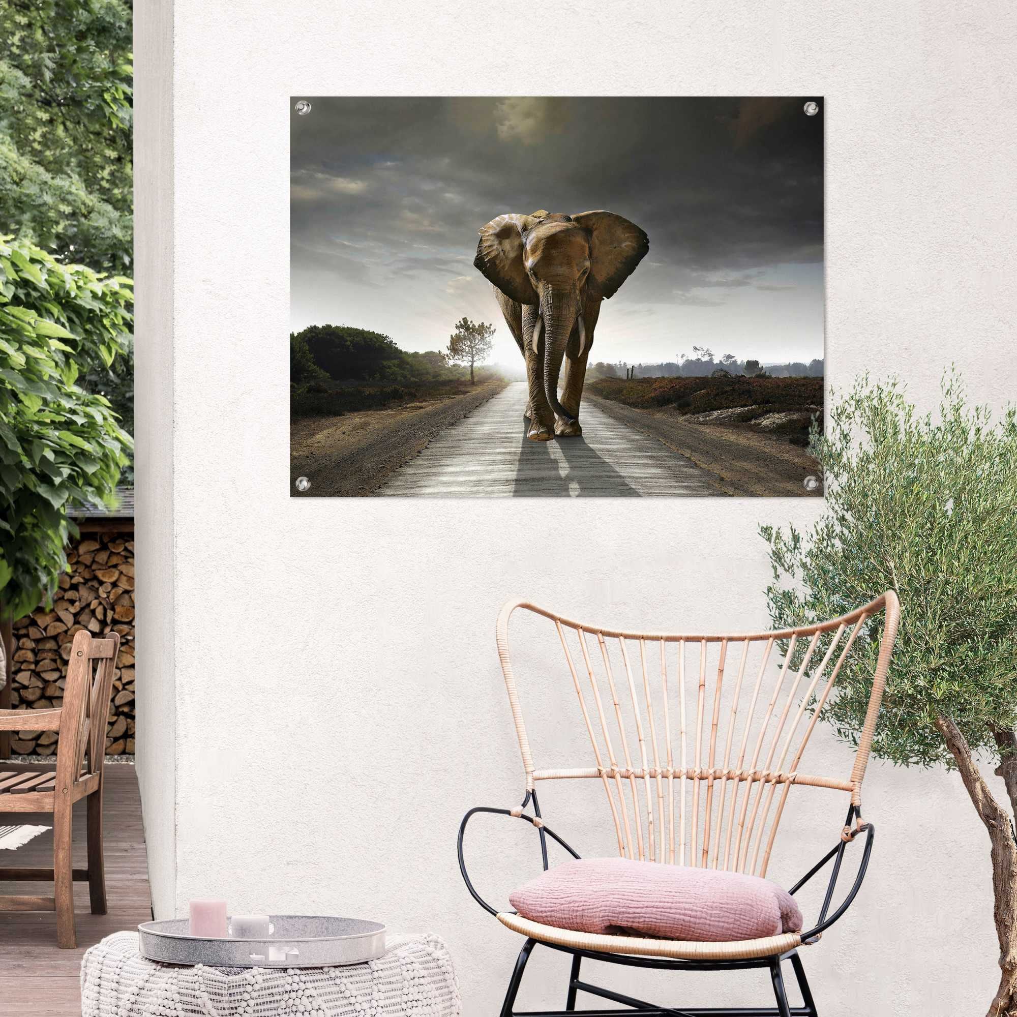 Reinders! Poster »Elefantenkönig«, Outdoor für Garten oder Balkon