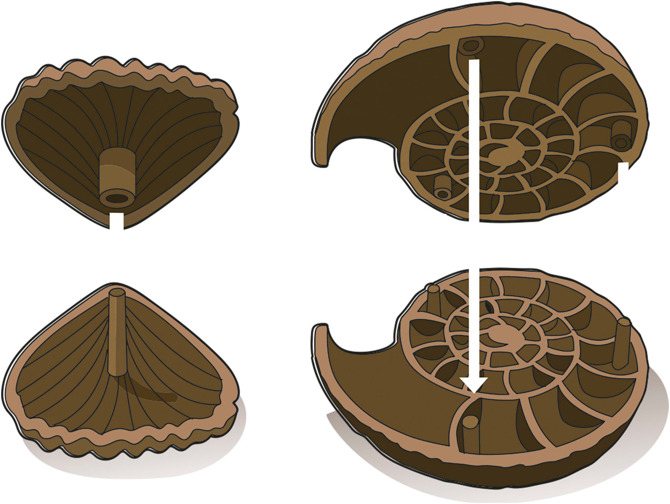 Clementoni® Experimentierkasten »Galileo Discovery, Ausgrabungs-Set Fossilien & Mineralien«, Made in Europe