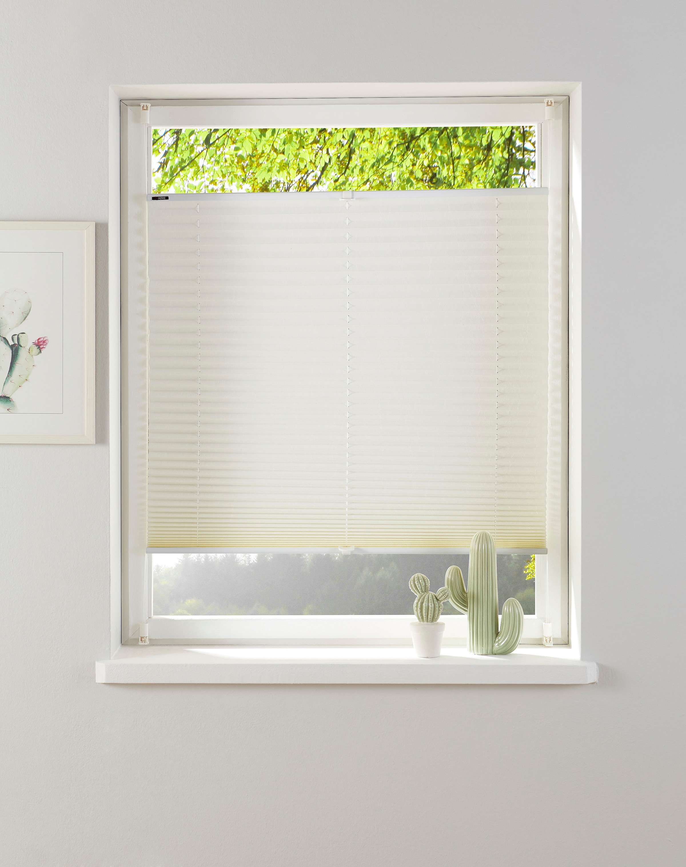 my home Plissee »KATIA«, Lichtschutz, ohne Bohren, verspannt, Fixmaß, Crush günstig online kaufen