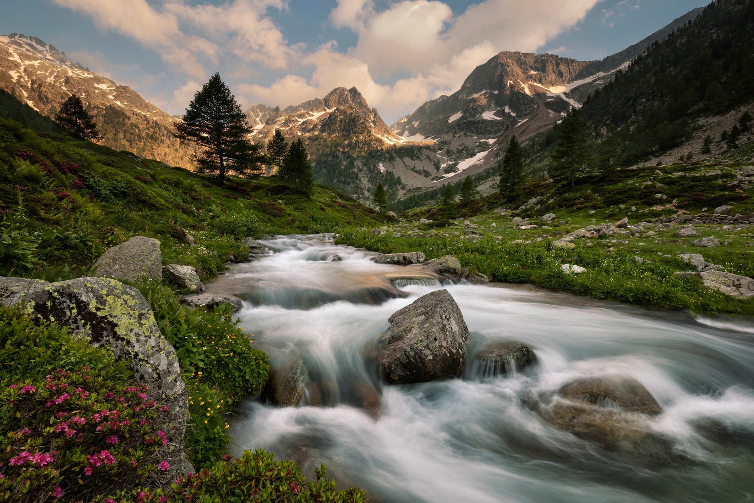 Papermoon Fototapete »Photo-Art PAOLO BOLLA, MARITIME ALPEN PARK« günstig online kaufen