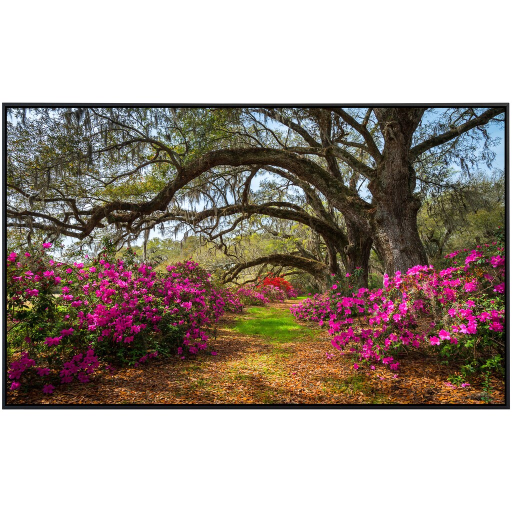 Papermoon Infrarotheizung »Frühlingsblumen und Oaktrees«