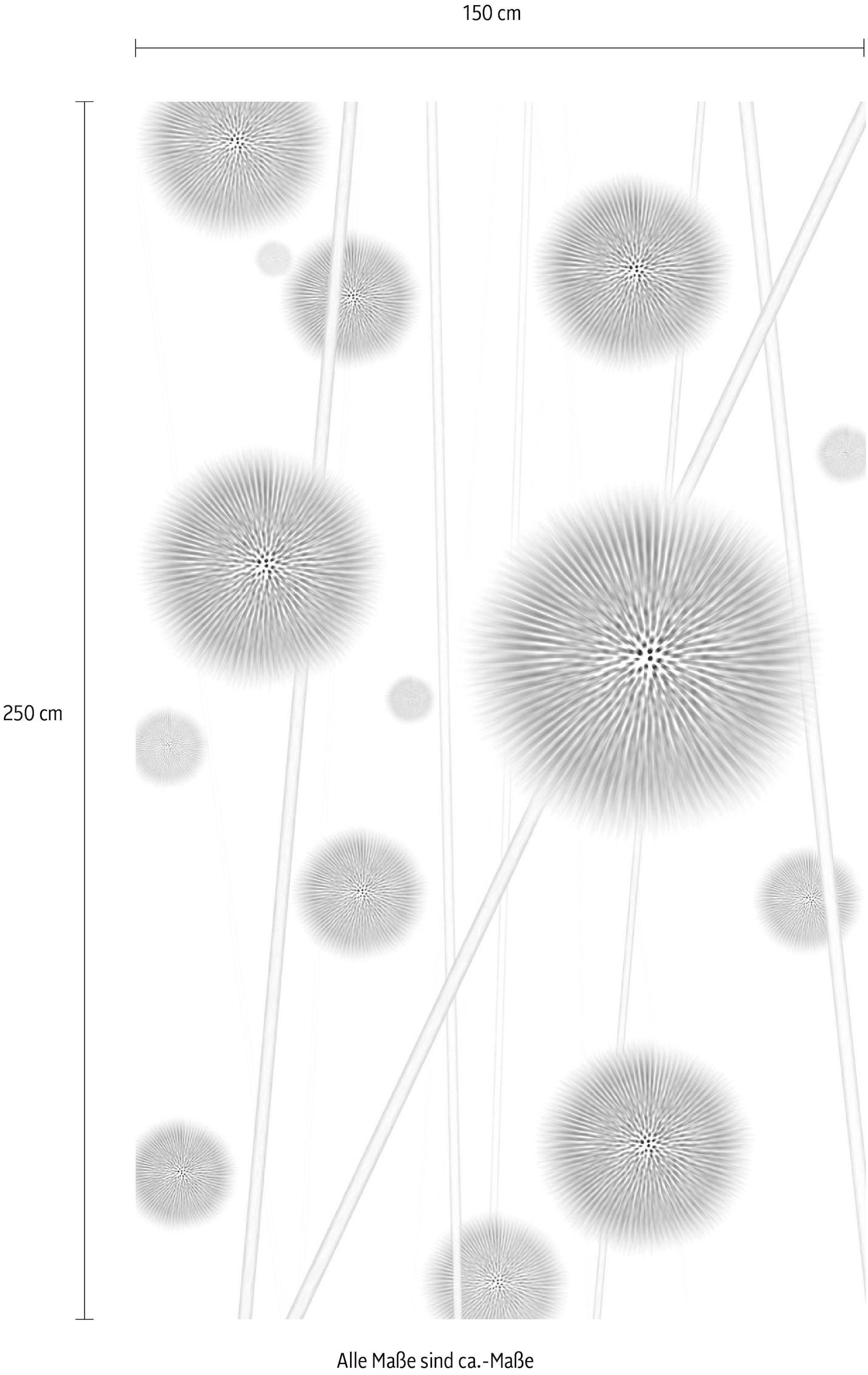 Komar Vliestapete »Digitaldruck Vlies -  Allium - Größe 150 x 250 cm« bedruckt glatt Wohnzimmer, Schlafzimmer