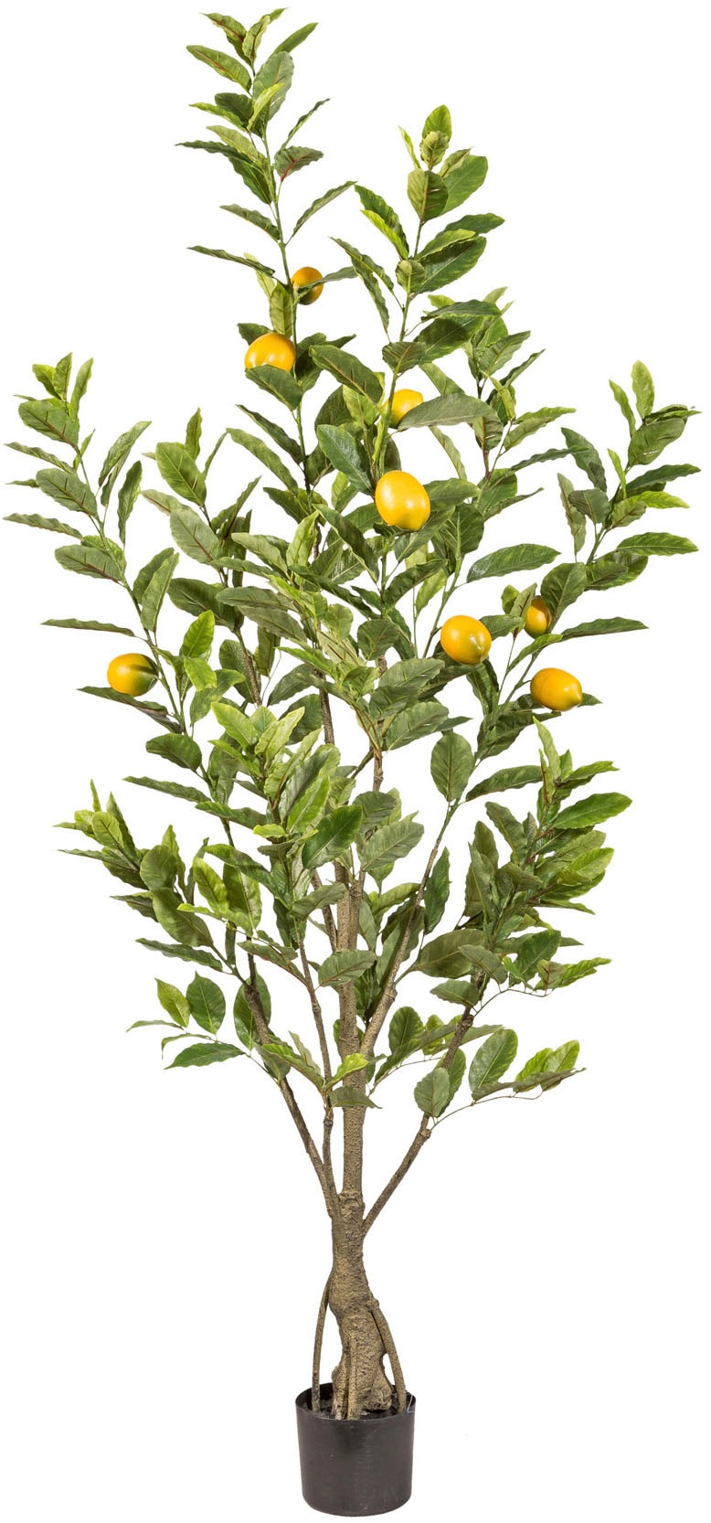Creativ green Kunstbaum »Zitrone« mit detailgetreuer Gestaltung günstig online kaufen