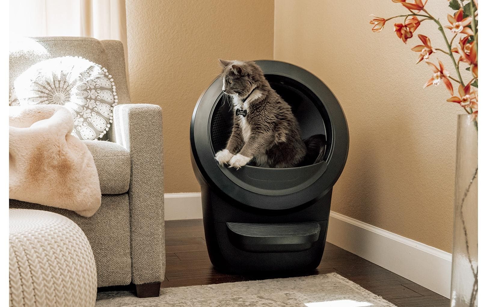   Katzentoilette »Litter-Robot Katzentoilette Litter Robot 4«