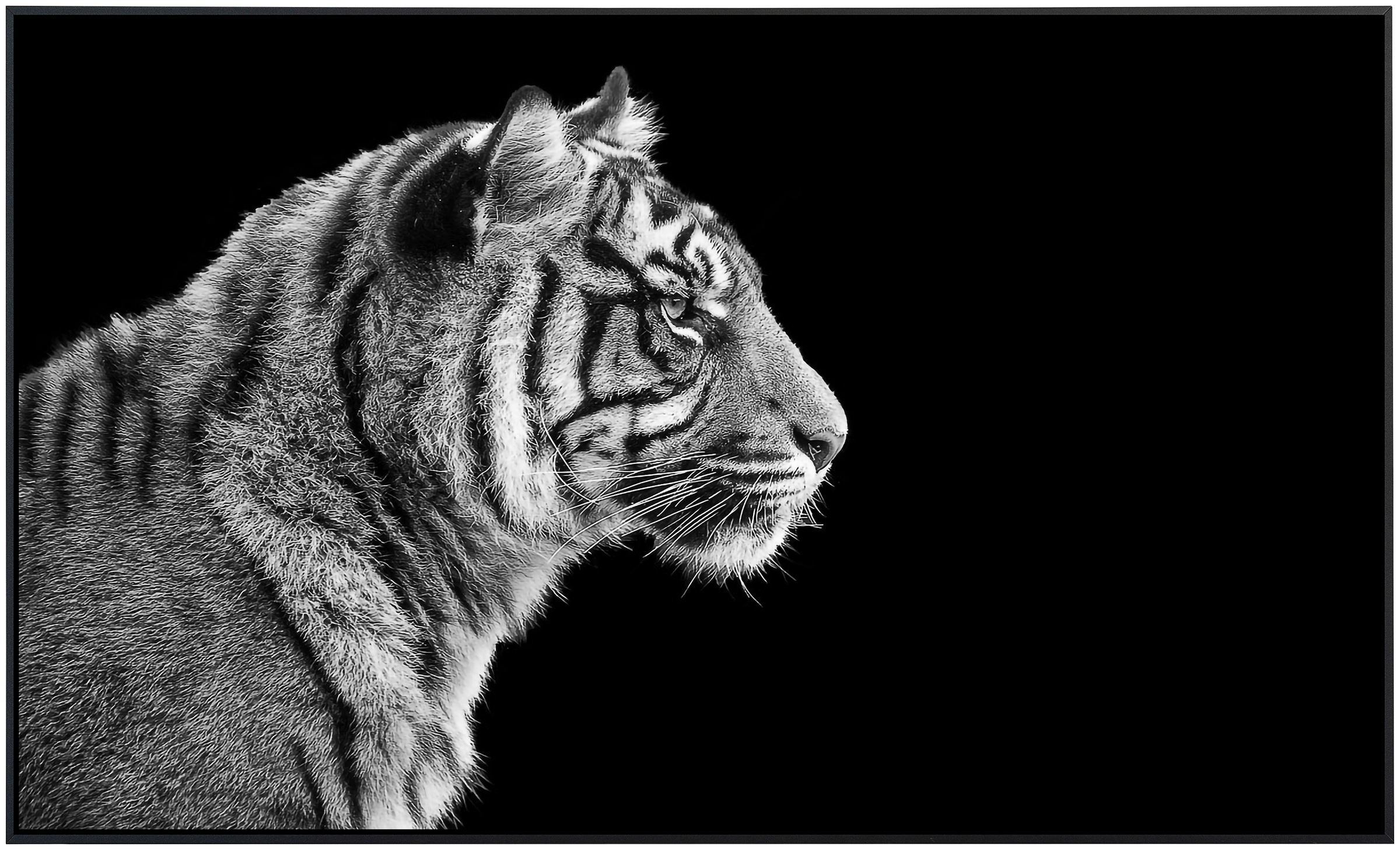 Papermoon Infrarotheizung »Sumatra Tiger Porträt«, sehr angenehme Strahlung günstig online kaufen