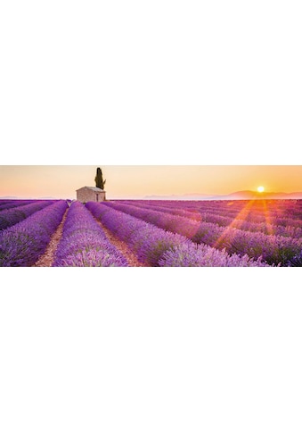 Home affaire Deco-Panel »Lavendel Horizont« kaufen