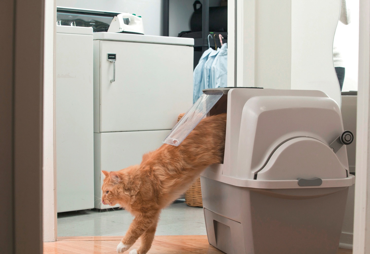 Bild von Catit Katzentoilette »Catit Smart Sift«, BxLxH: 67x48x46 cm