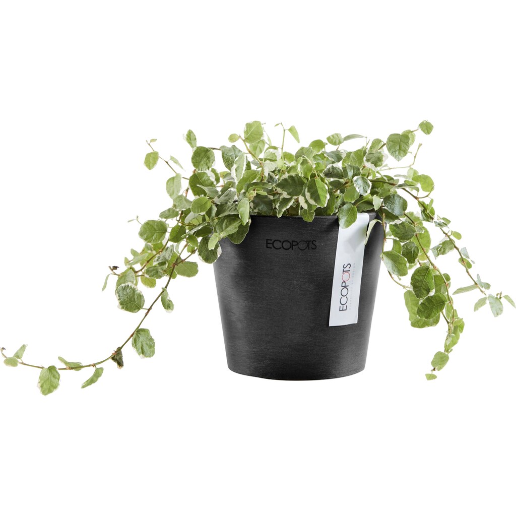 ECOPOTS Blumentopf »AMSTERDAM Mini Dark Grey«