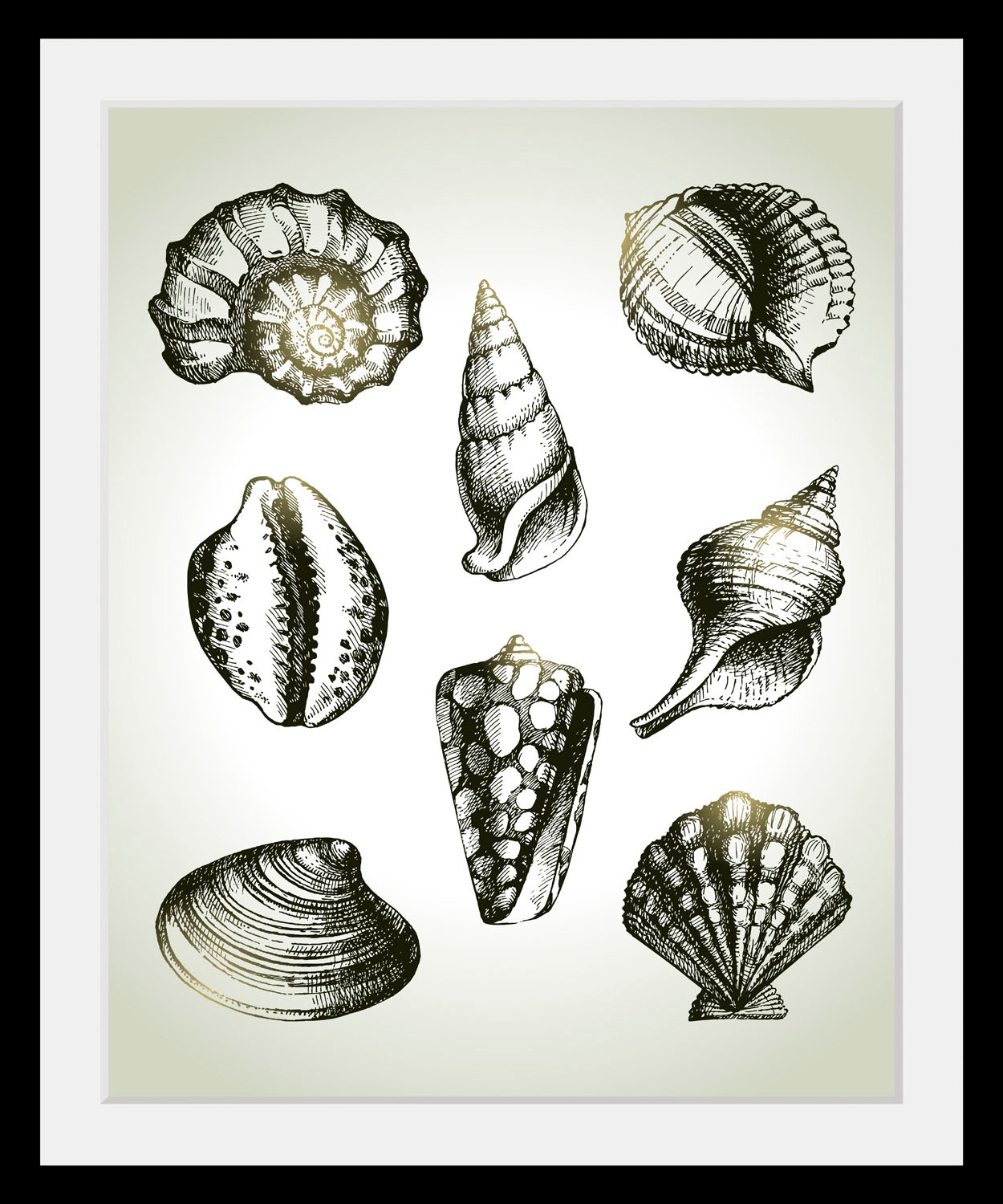 queence Bild »Willy«, Meer-Wassertiere-Kunst-Schwarz-Weiß, (1 St.), HD Prem günstig online kaufen