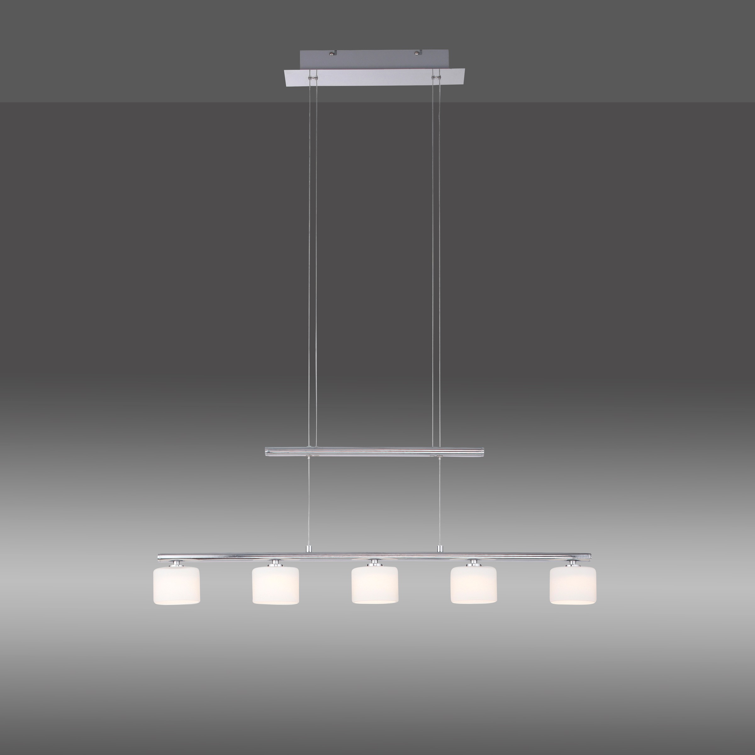 Paul Neuhaus Pendelleuchte »HYDRA«, 5 flammig, Leuchtmittel LED-Board   LED günstig online kaufen