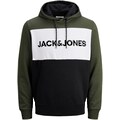 Jack & Jones Kapuzensweatshirt »LOGO BLOCKIN SWEAT HOOD«