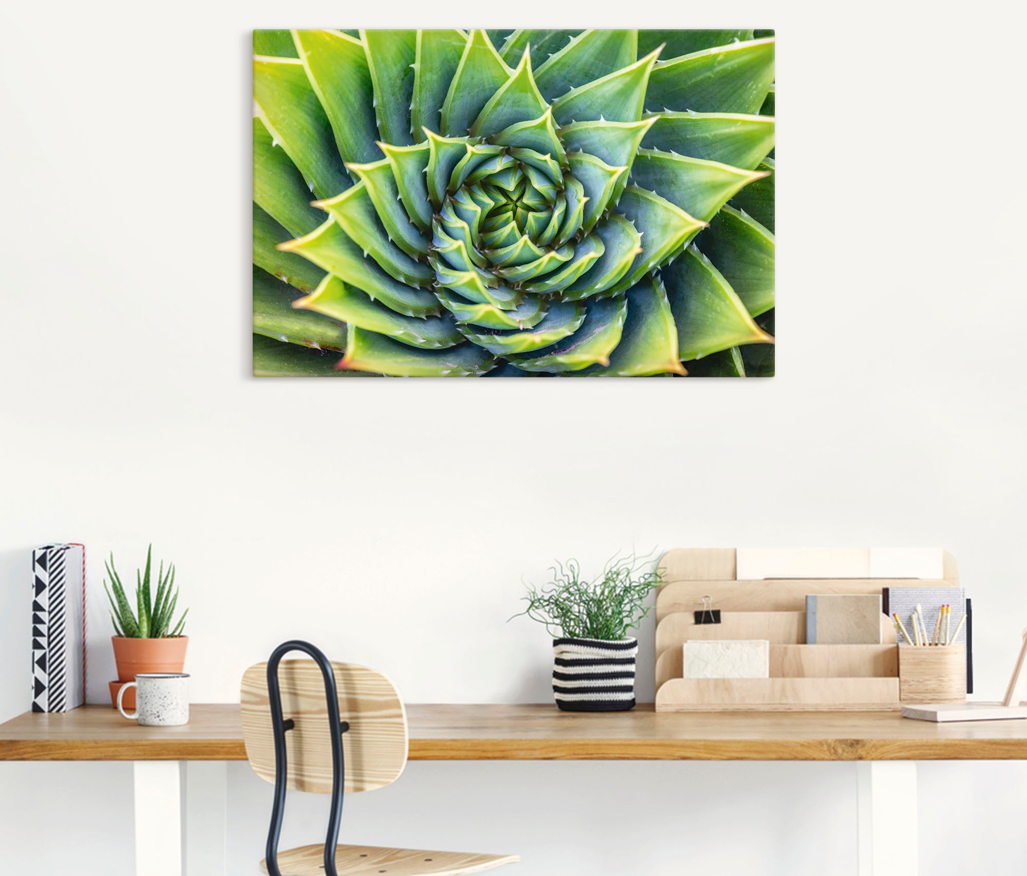Artland Wandbild »Grüne Spirale«, Pflanzenbilder, (1 St.), als Alubild, Leinwandbild, Wandaufkleber oder Poster in versch. Größen