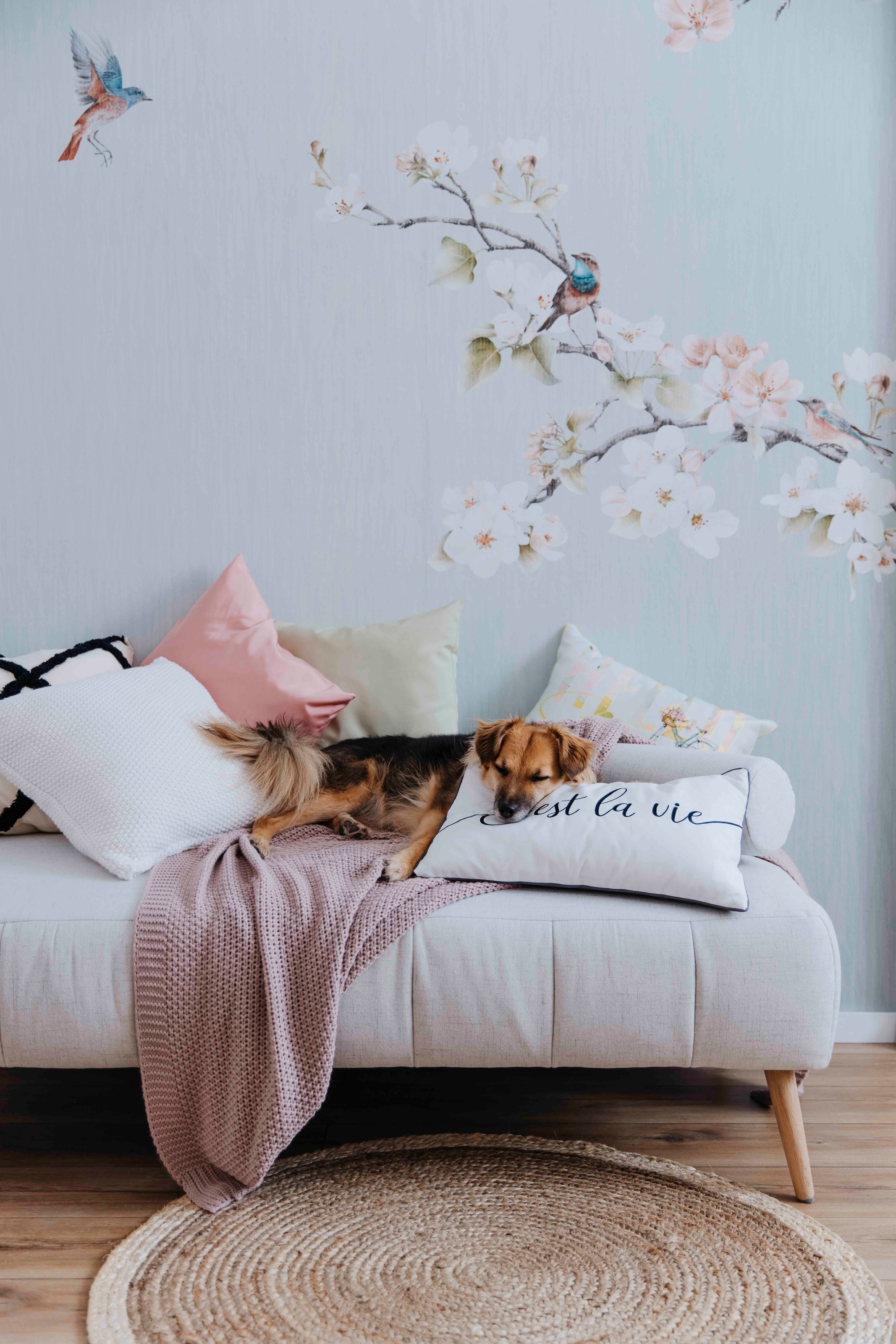 andas Daybett »Lucy«, mit losen Rollenkissen