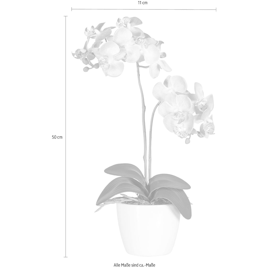 Creativ green Kunstpflanze »Phalaenopsis«