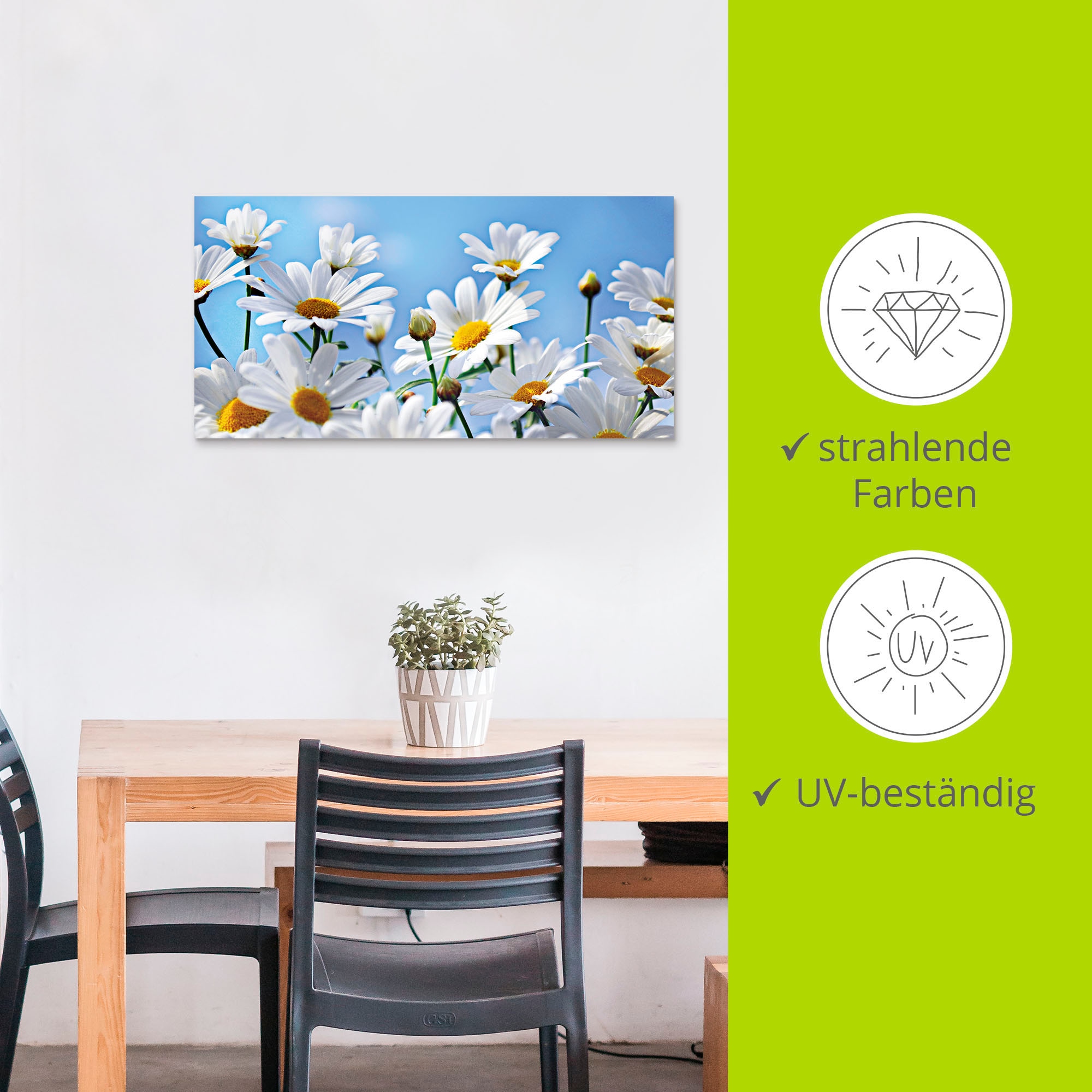 Artland Wandbild »Blumen - Margeriten«, Blumen, (1 St.), als Alubild, Outdoorbild, Leinwandbild in verschied. Größen