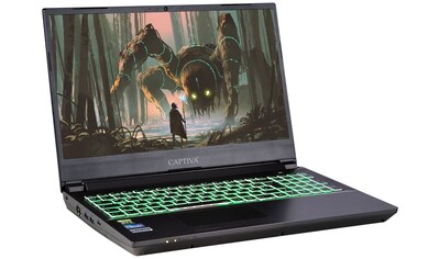 CAPTIVA Gaming-Notebook »Highend Gaming I67-020«, (39,6 cm/15,6 Zoll), AMD, Ryzen 5,... kaufen