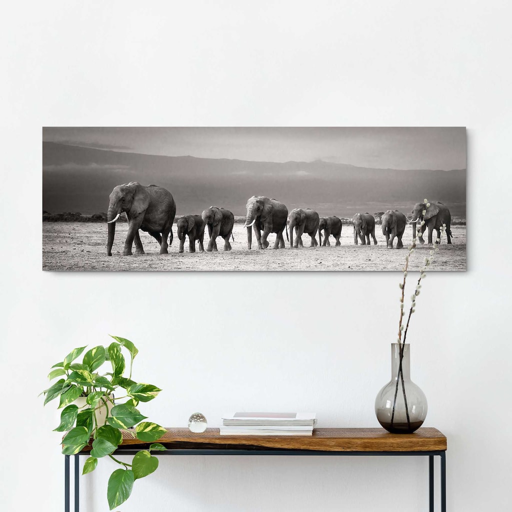 Reinders! Wandbild »Elefantenparade«