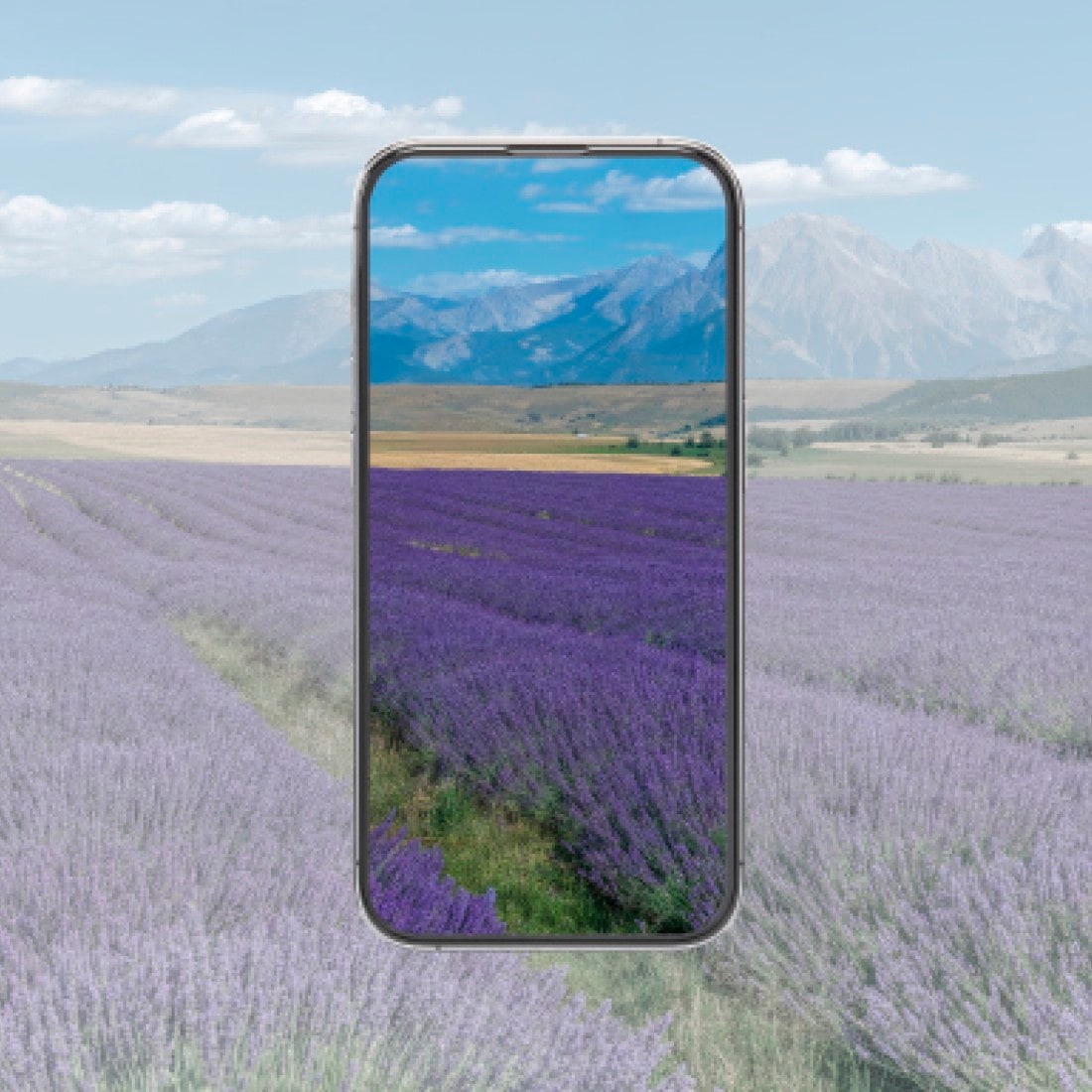 Hama Displayschutzglas »Displayschutzglas für Apple iPhone Duo (Panzerglas, D3O)« stoßfest, kratzfest, ultraklar, Anti-Fungerprint, Fullscreen-Abdeckung