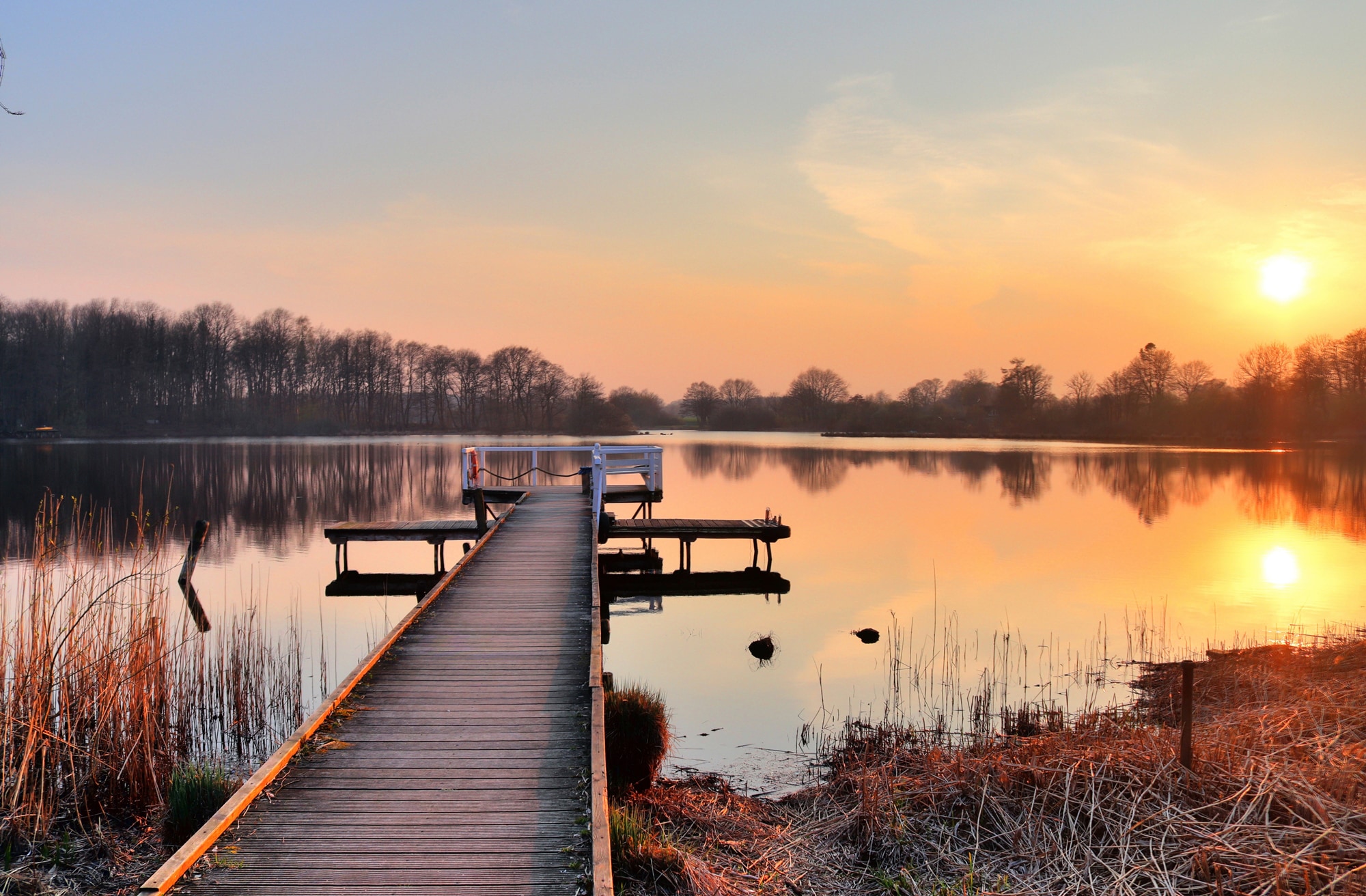 Papermoon Fototapete »HOLZ-BRÜCKE-PIER STEG SEE STRAND WALD SONNENUNTERGANG günstig online kaufen