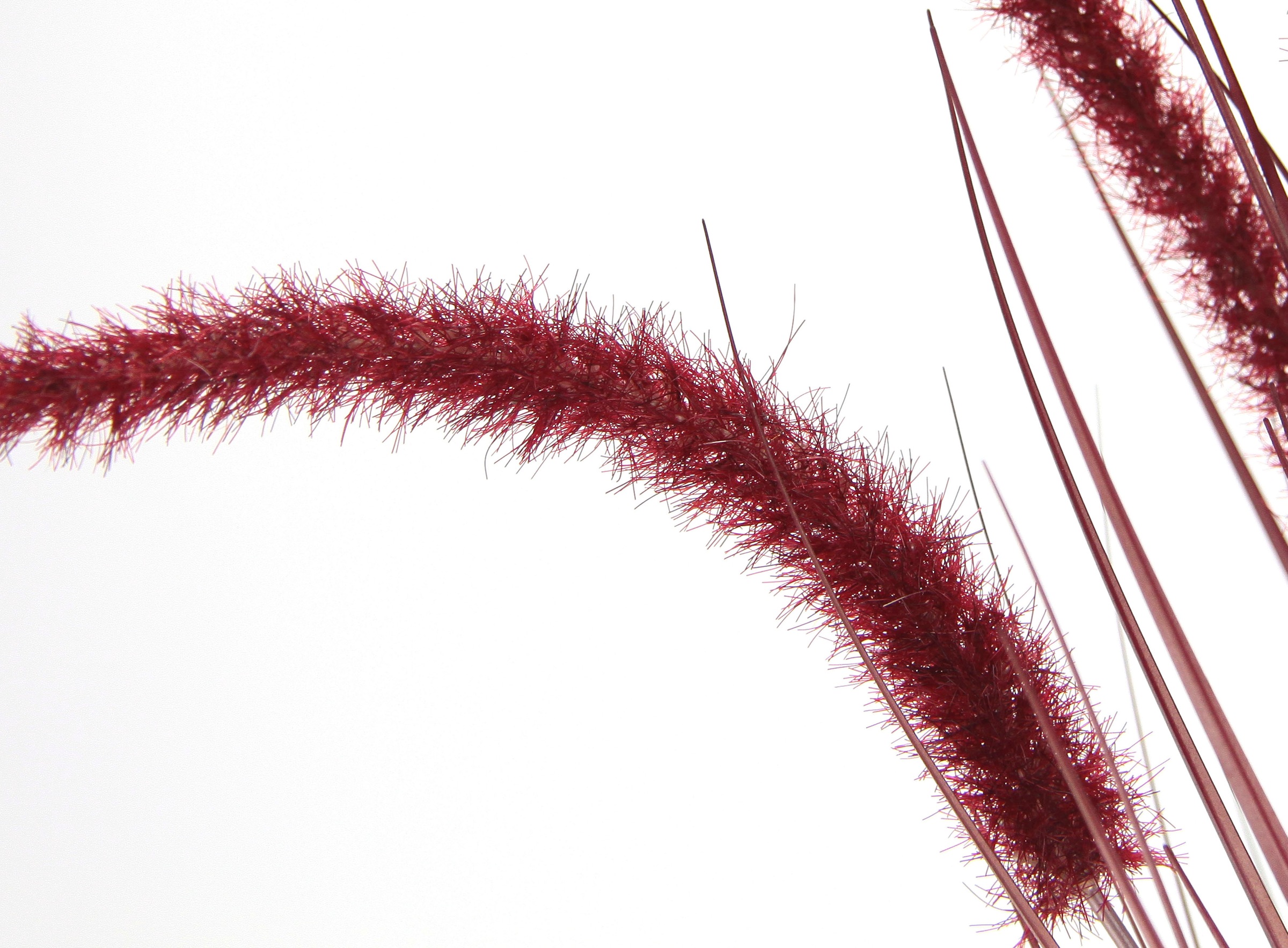 I.GE.A. Kunstpflanze »Fuchsschwanzgras« Mit Übertopf Kunstgras Deko Borsten günstig online kaufen