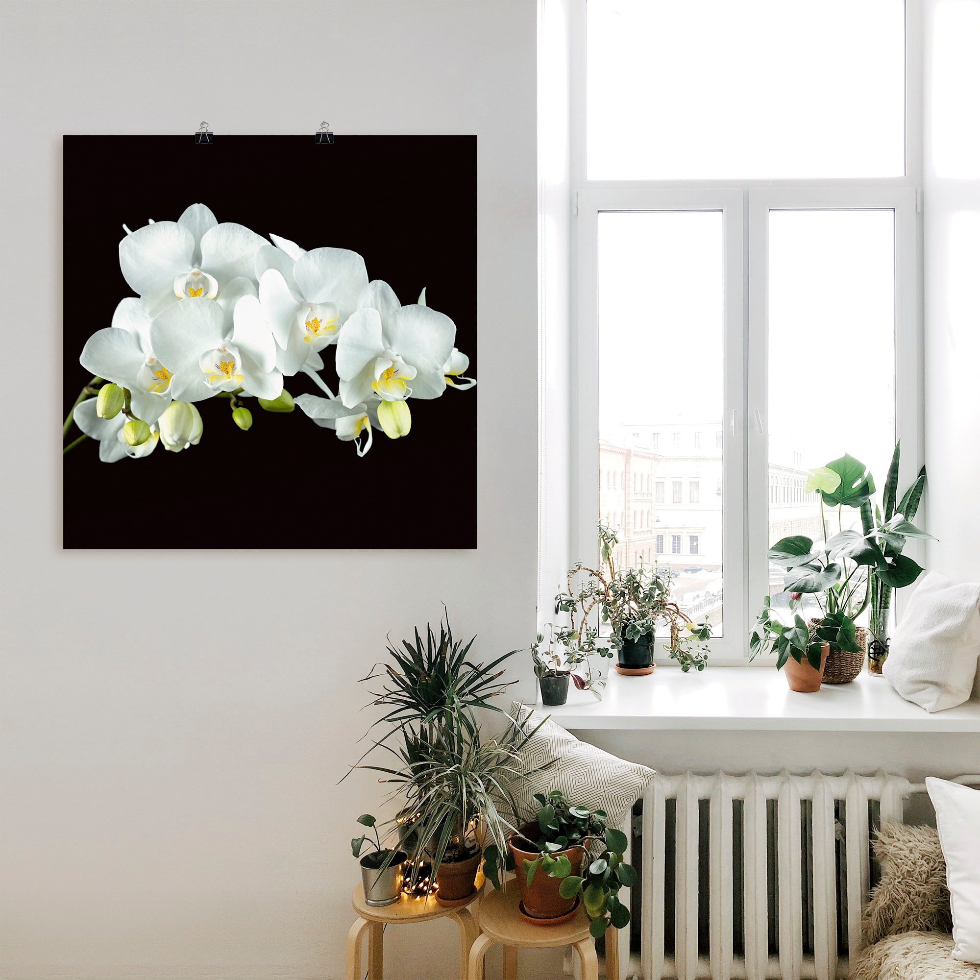 Artland Wandbild »Weiße Orchidee auf schwarzem Hintergrund«, Blumen, (1 St.), als Leinwandbild, Poster, Wandaufkleber in verschied. Größen