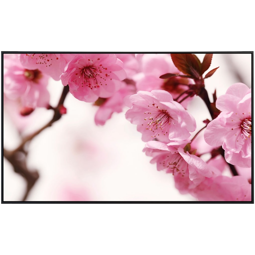 Papermoon Infrarotheizung »Pfirsichblüte«