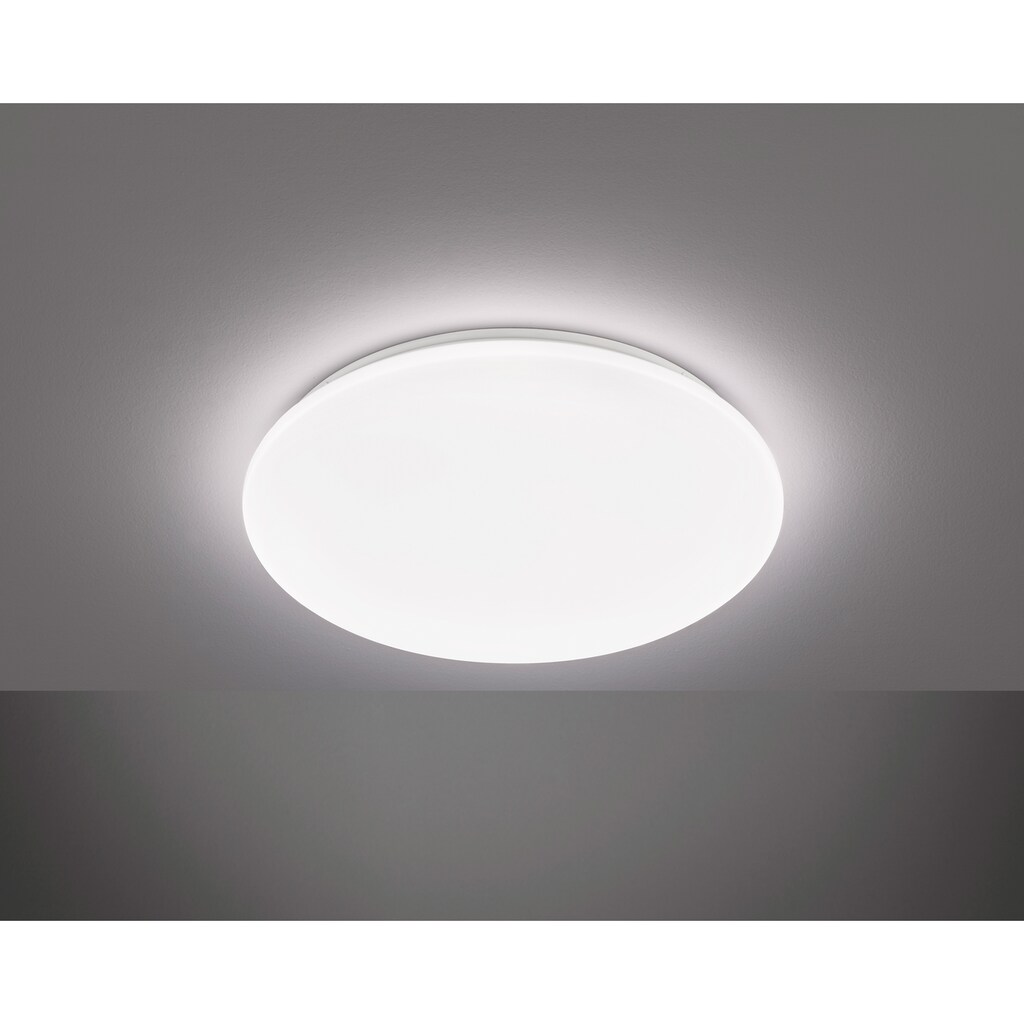 EGLO LED Deckenleuchte »Pogliola«, LED-Modul, 1 St., Warmweiß, weiß / Ø50 x H8 cm / inkl. 1 x LED-Platine (je 36W, 3350lm, 3000K) / IP20 - warmweiße - Deckenlampe - Flurlampe - Bürolampe - Küchenlampe - Flur - Küche - Büro - Lampe