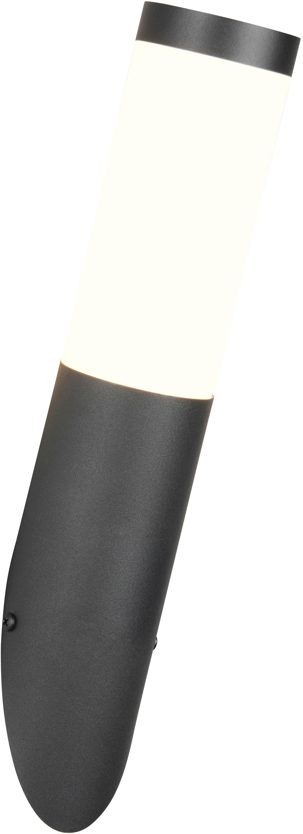 TRIO Leuchten Außen-Wandleuchte »TRIOTO, Outdoor Wandlampe Edelstahl, Wandf günstig online kaufen