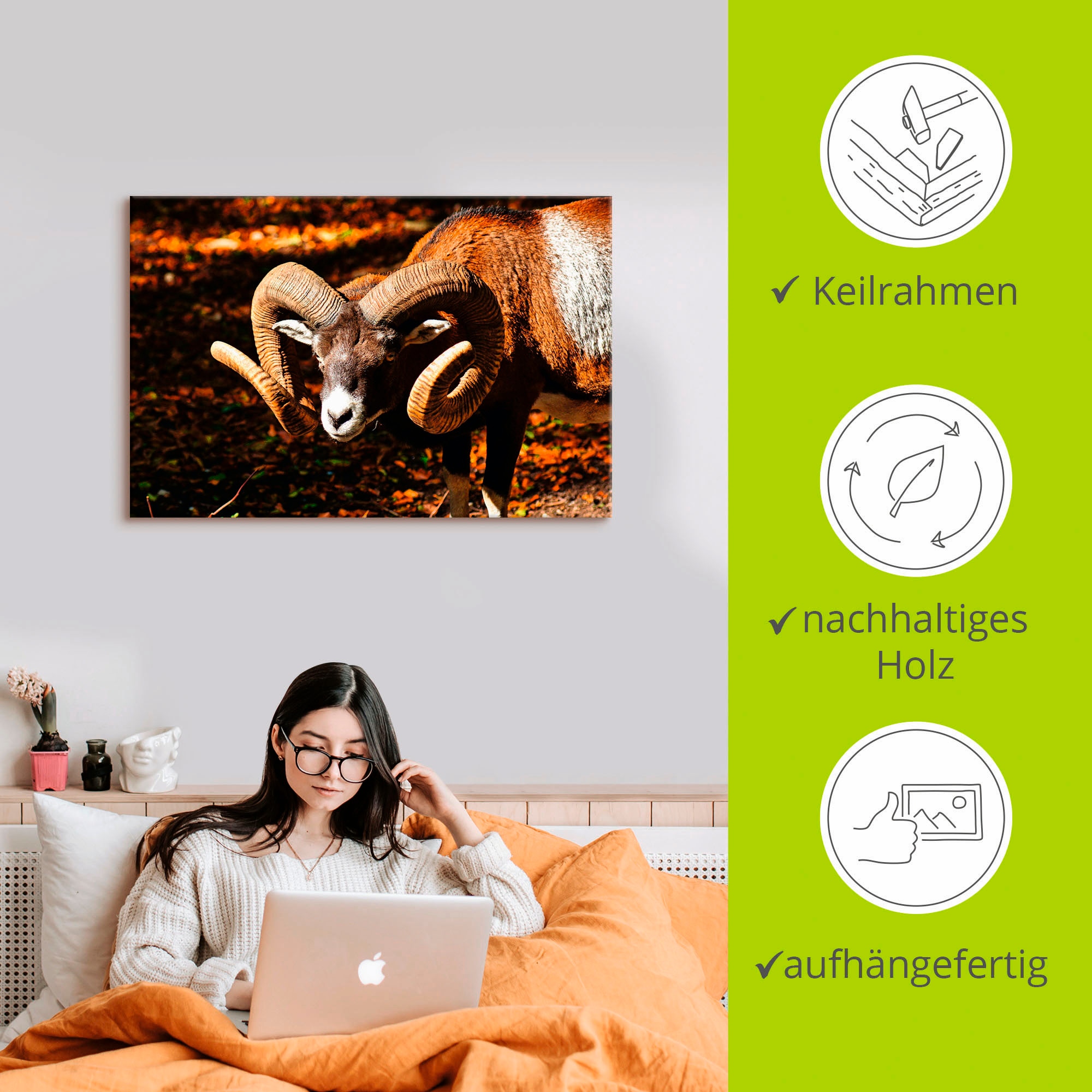 Artland Leinwandbild »Mufflon«, Wildtiere, (1 St.), auf Keilrahmen gespannt