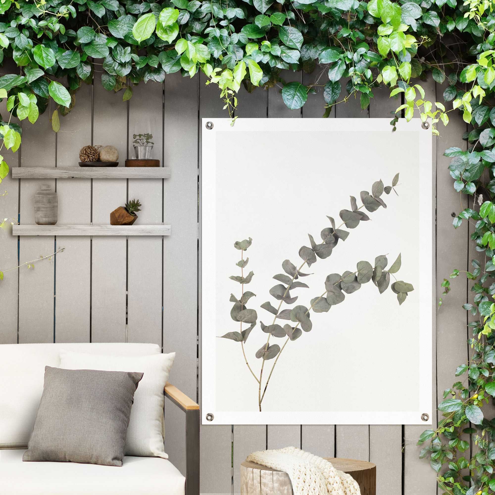 Reinders! Poster »Eukalyptus«, Outdoor oder Garten online bestellen für Balkon