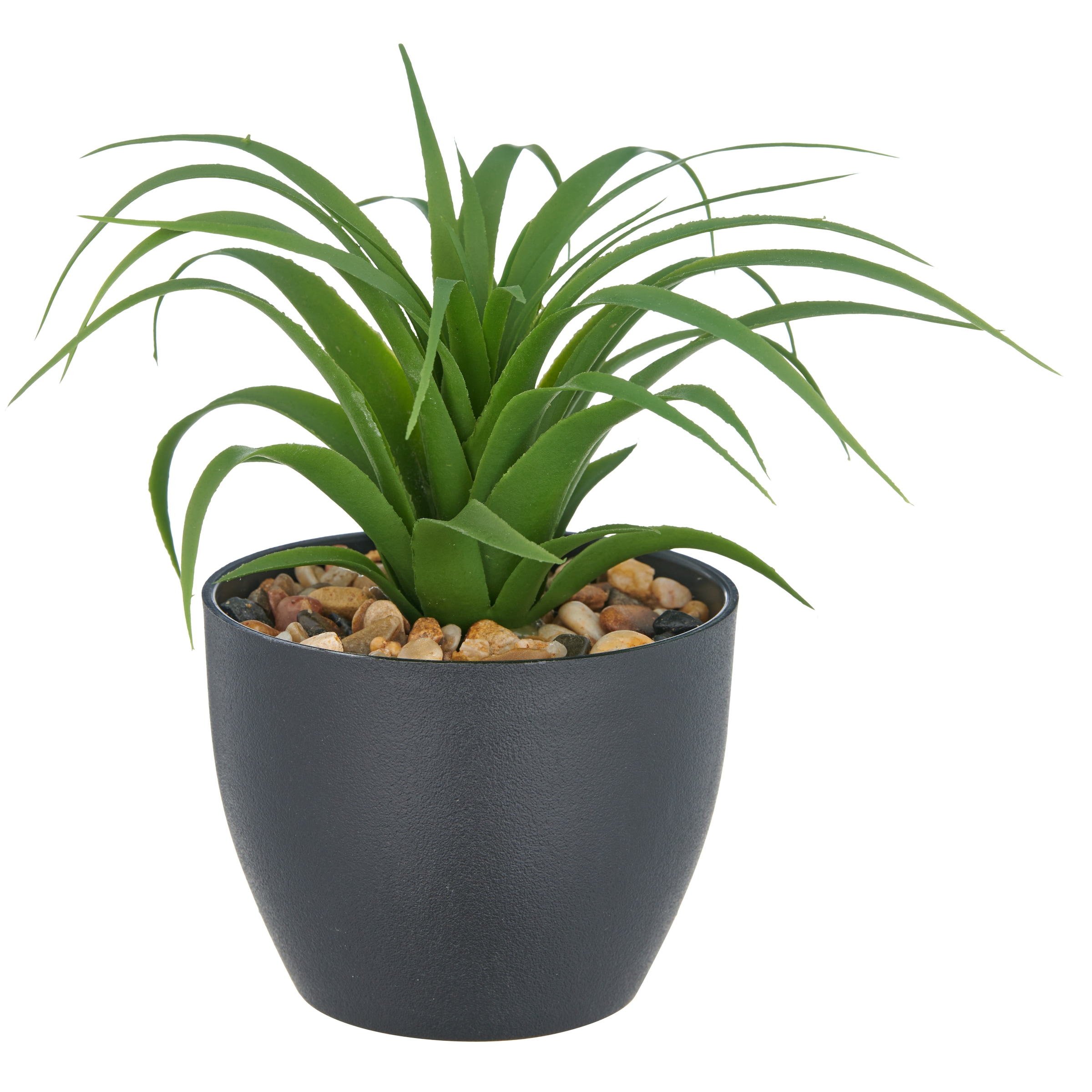 Creativ green Kunstpflanze »Sukkulenten« mit dekorativem Kies